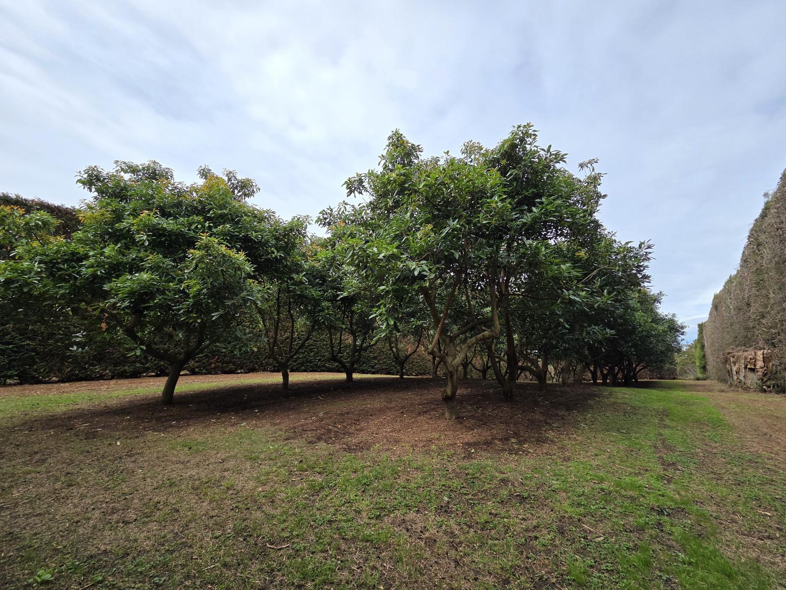 244 Beach Road, Katikati