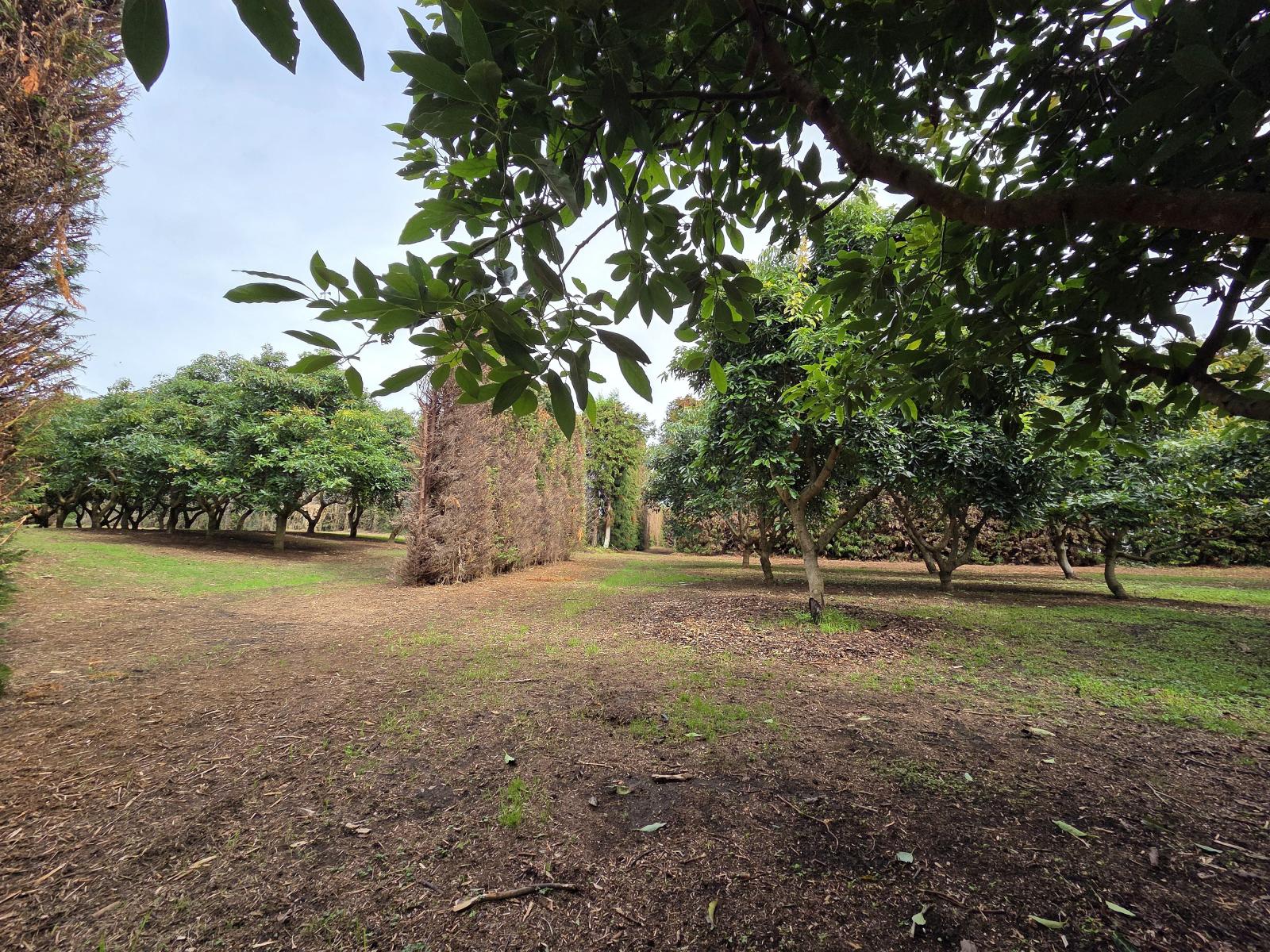 244 Beach Road, Katikati