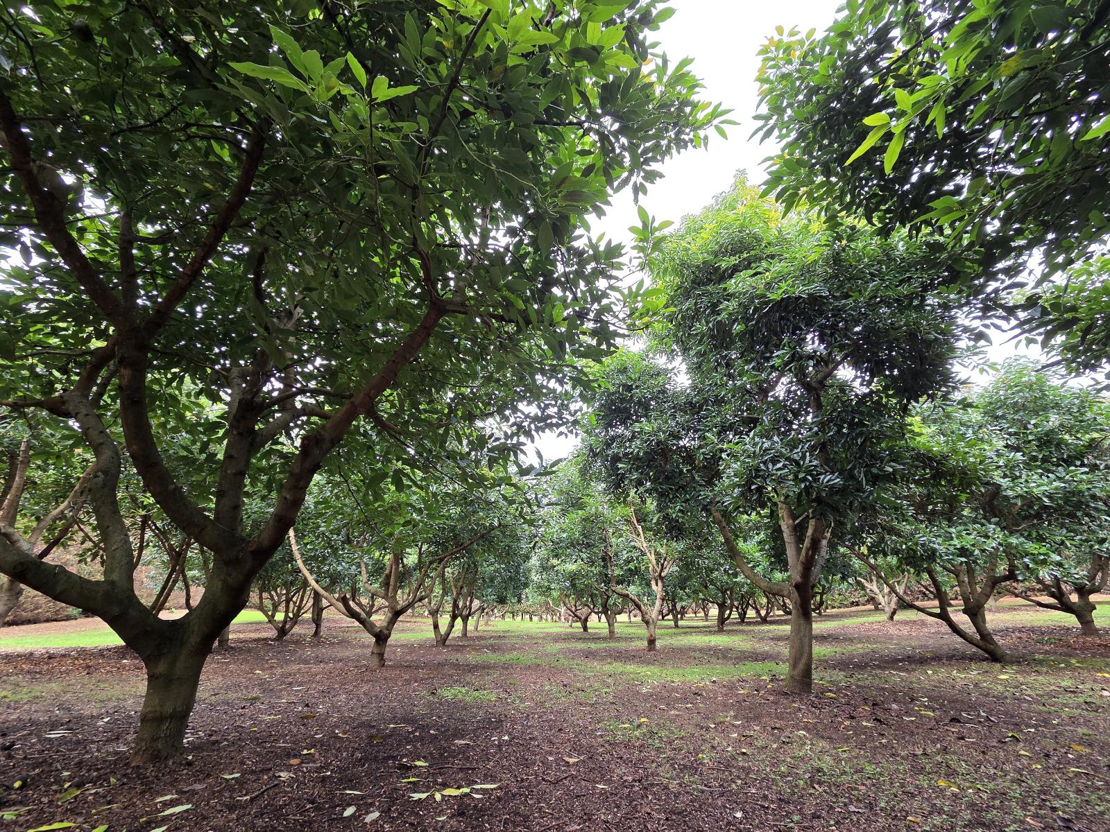 244 Beach Road, Katikati