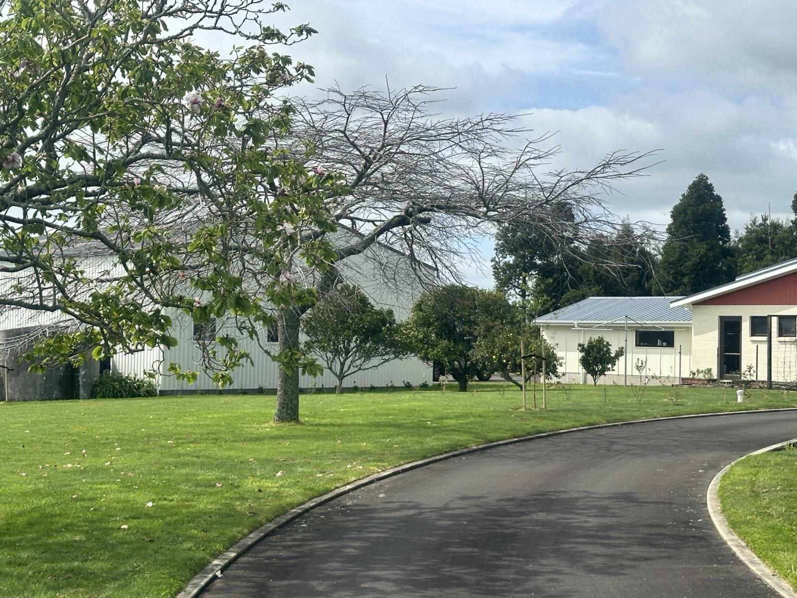 Waitara