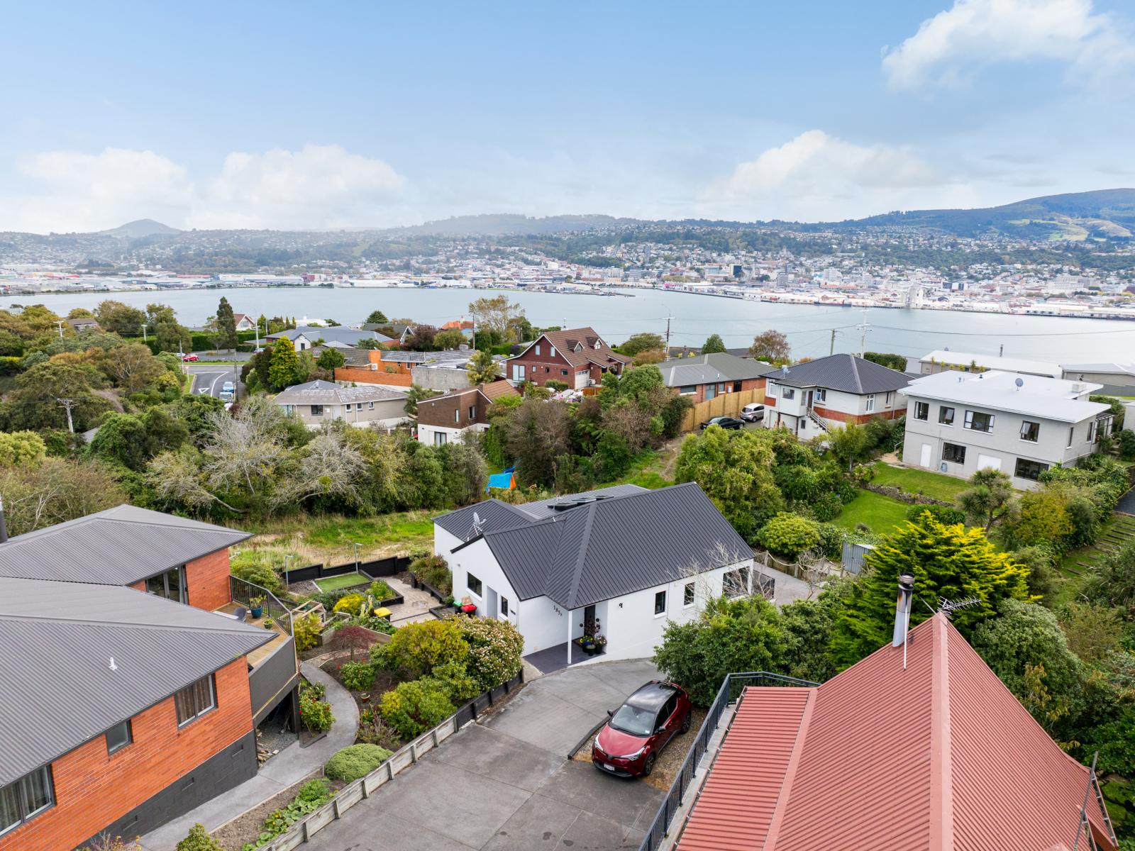 183A Scott Street, Waverley