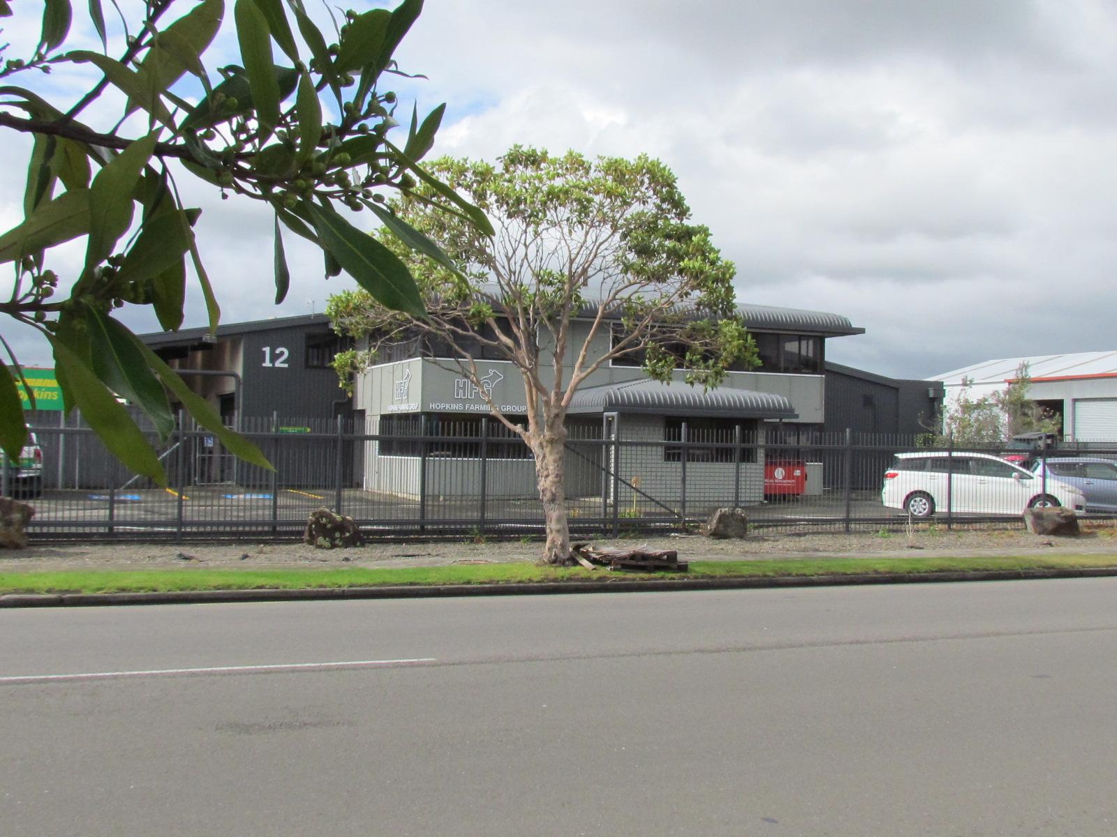 12 Mihaere Drive, Roslyn