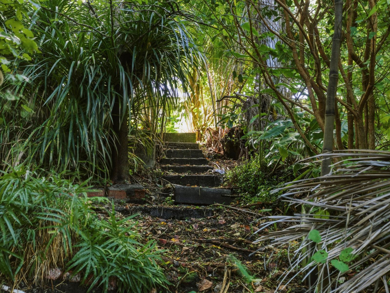 5 Iwiroa Terrace, Durie Hill