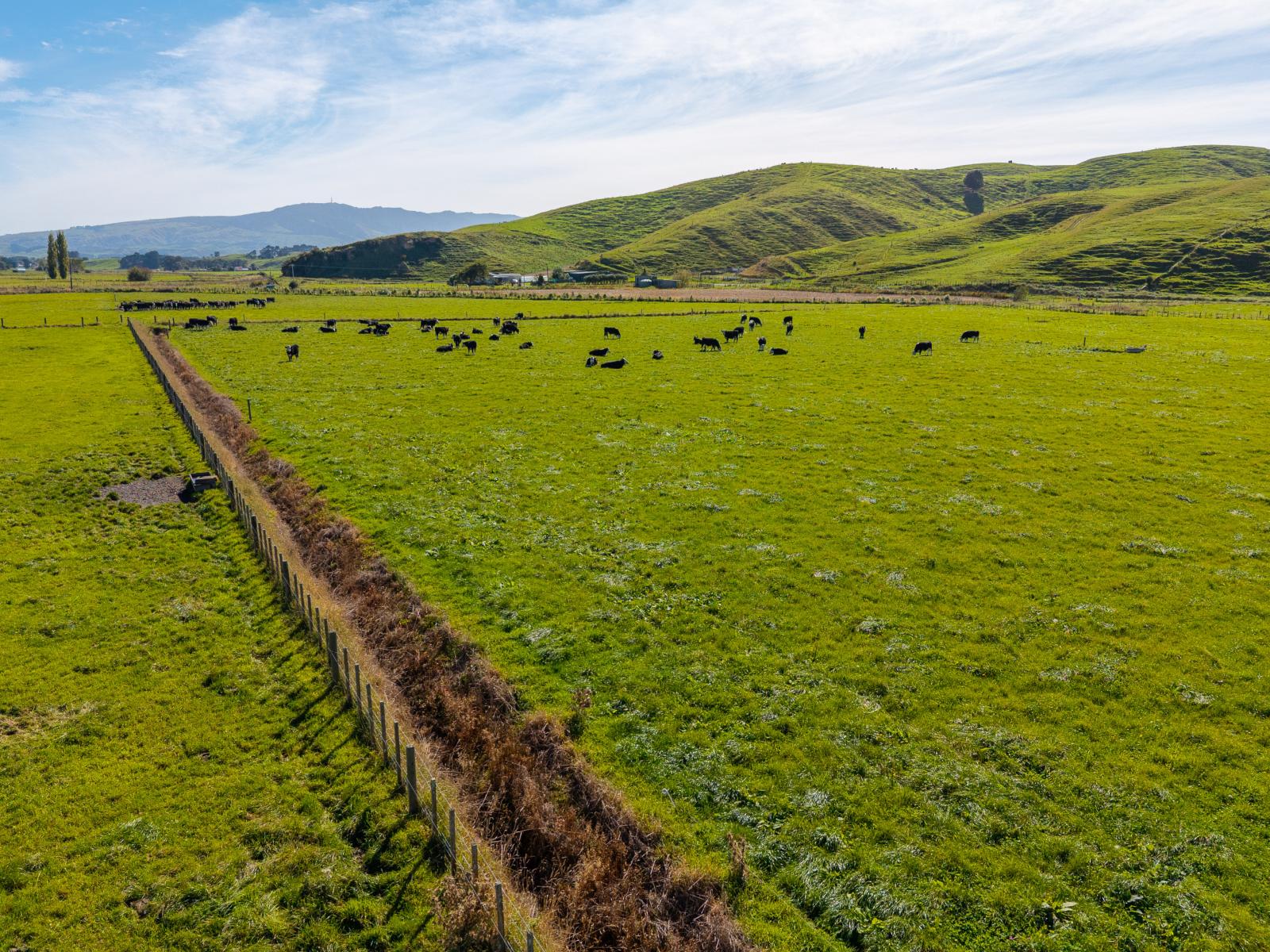Range Road, Woodville