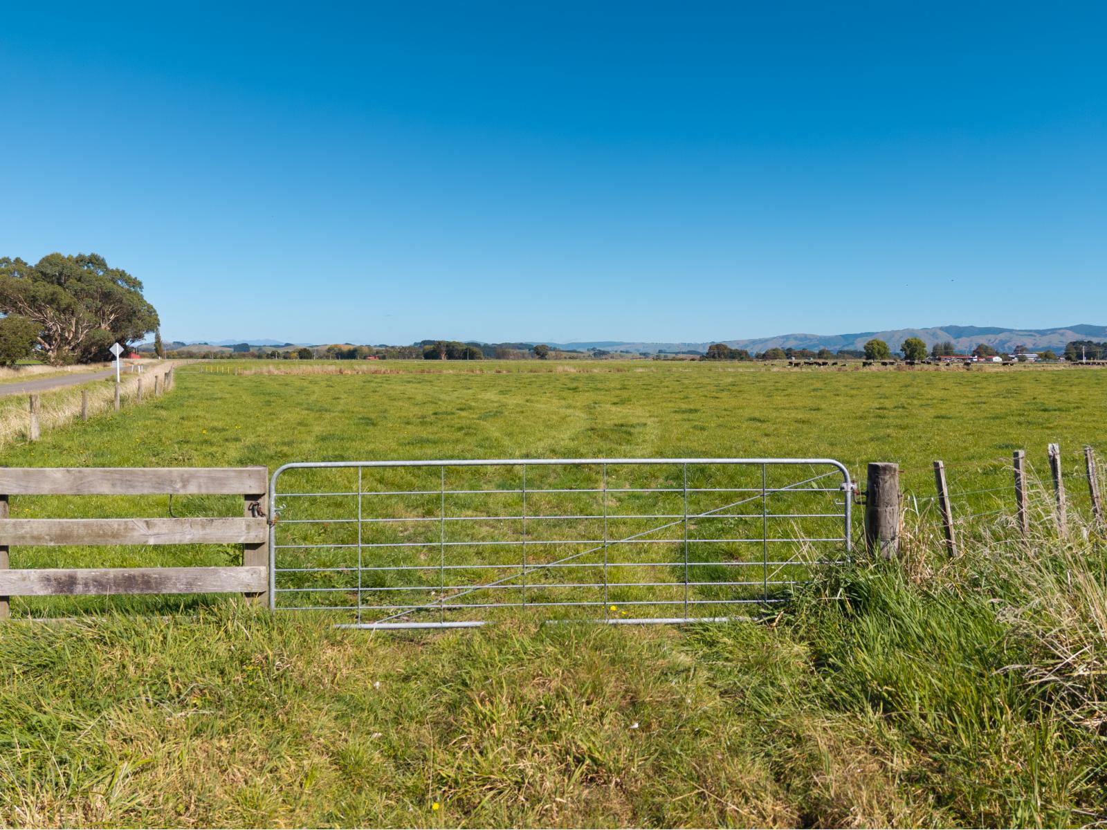 Range Road, Woodville