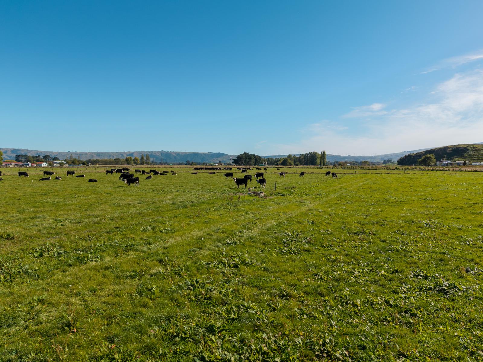 Range Road, Woodville