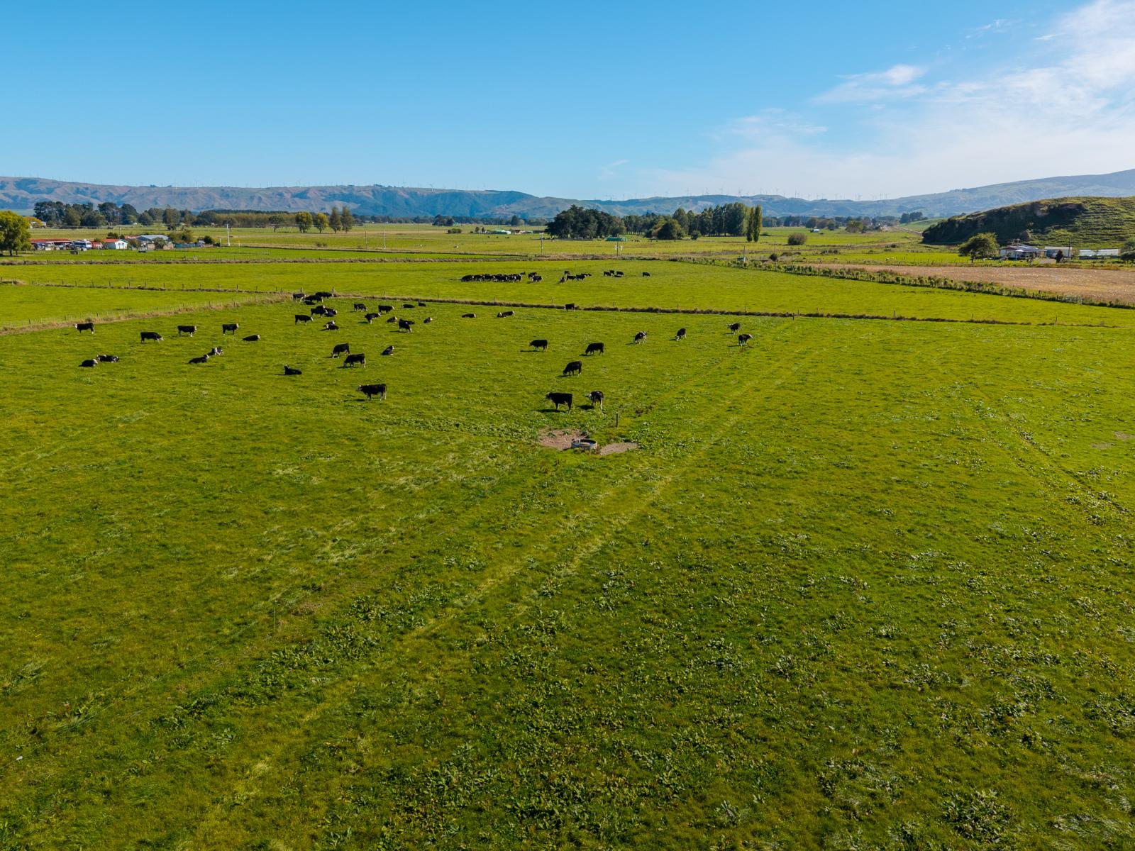 Range Road, Woodville