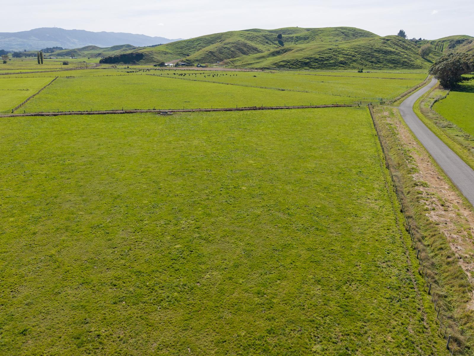 Range Road, Woodville