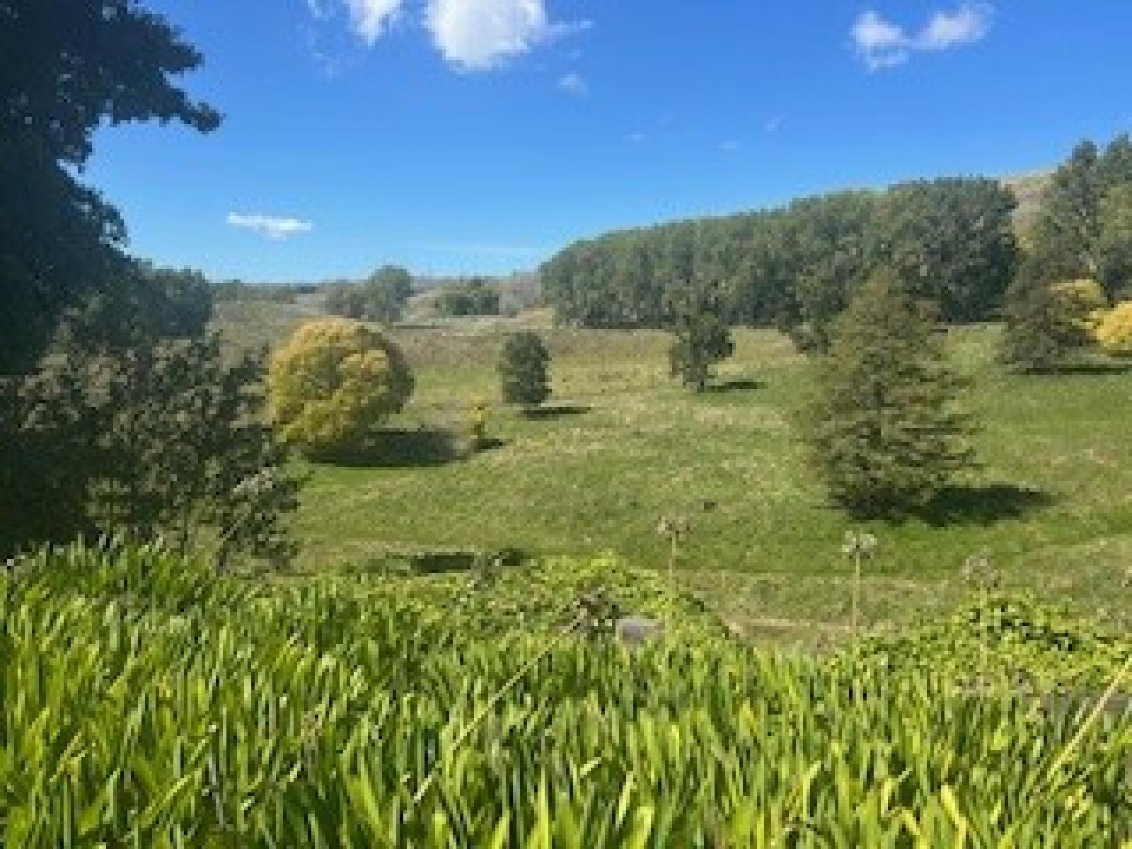 207 Rotowai Road, Omakere