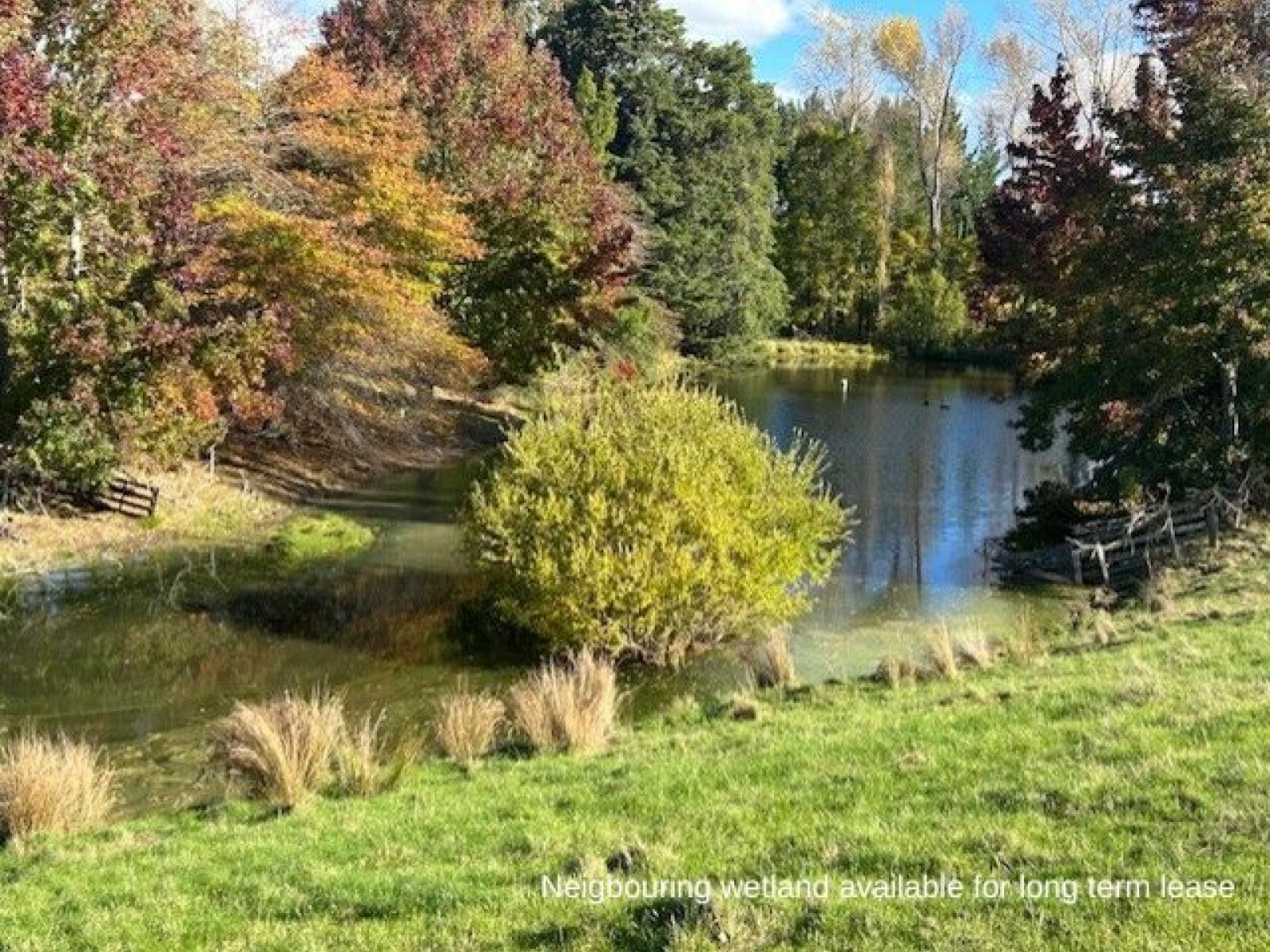 207 Rotowai Road, Omakere