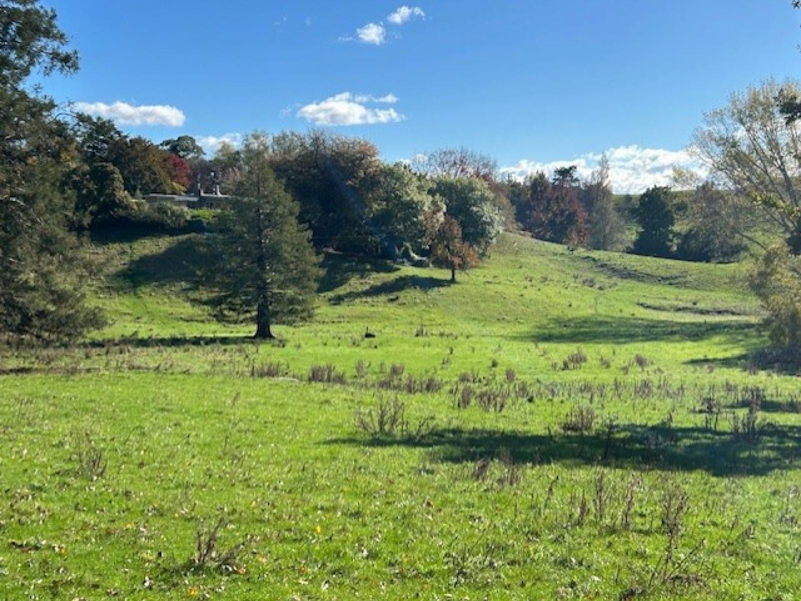 207 Rotowai Road, Omakere