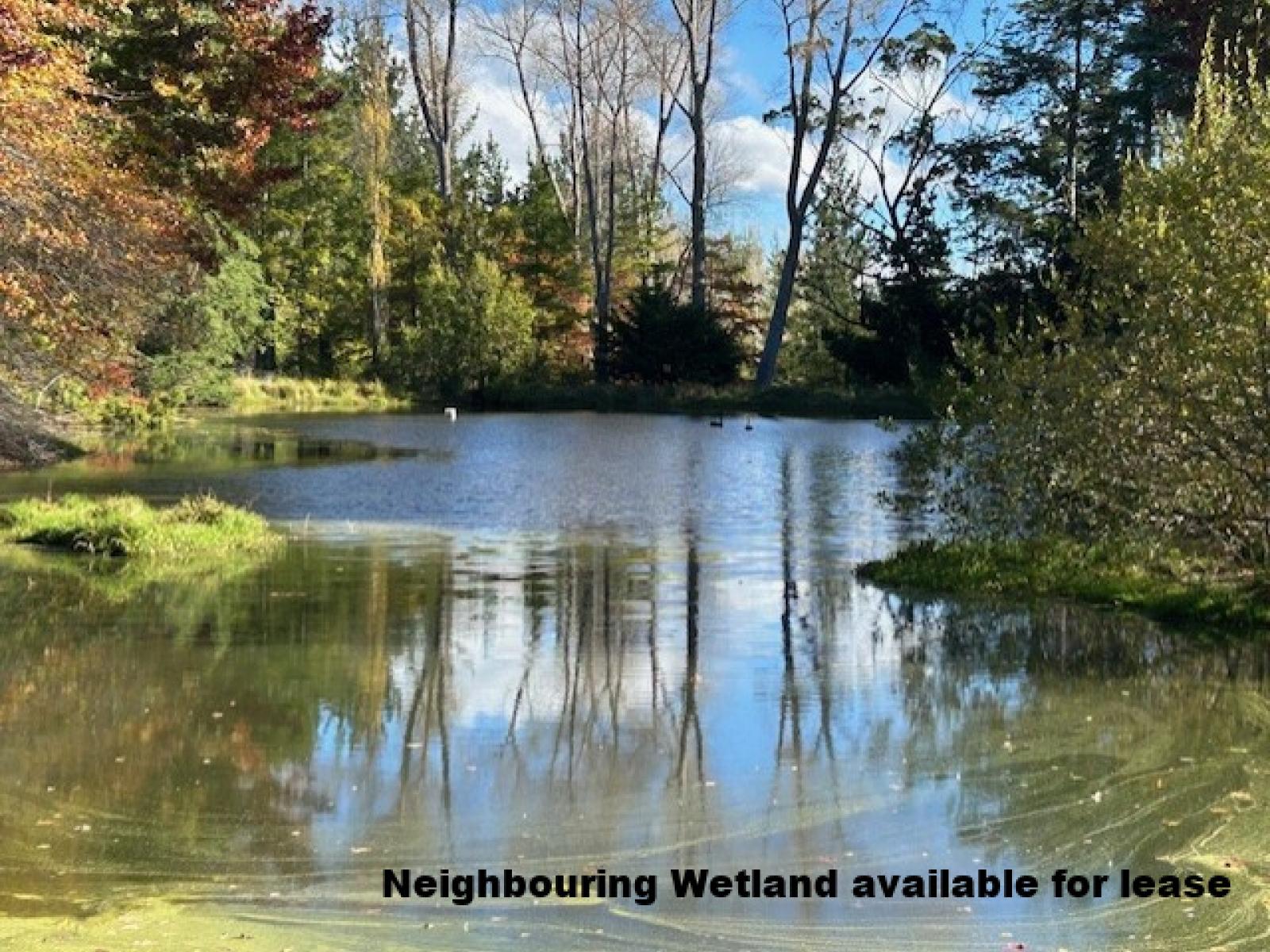 207 Rotowai Road, Omakere