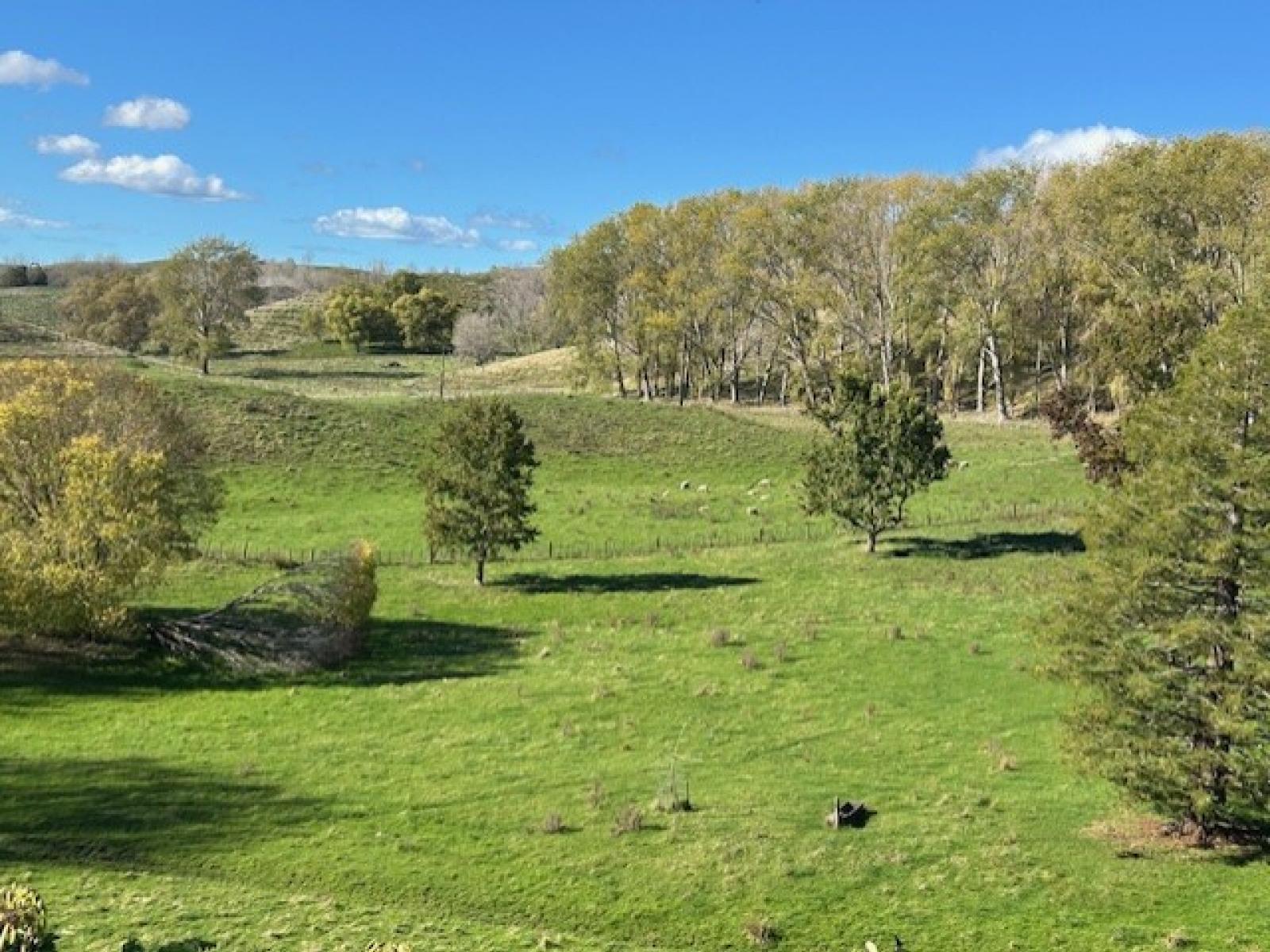 207 Rotowai Road, Omakere