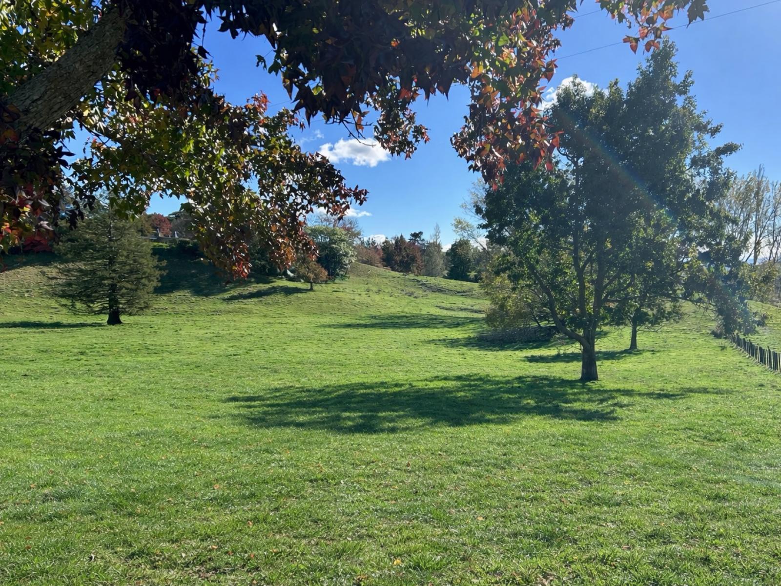 207 Rotowai Road, Omakere