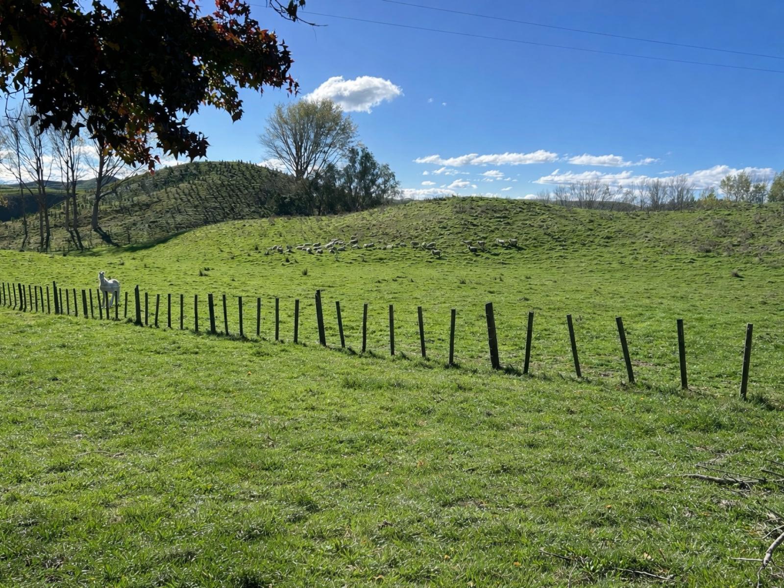 207 Rotowai Road, Omakere