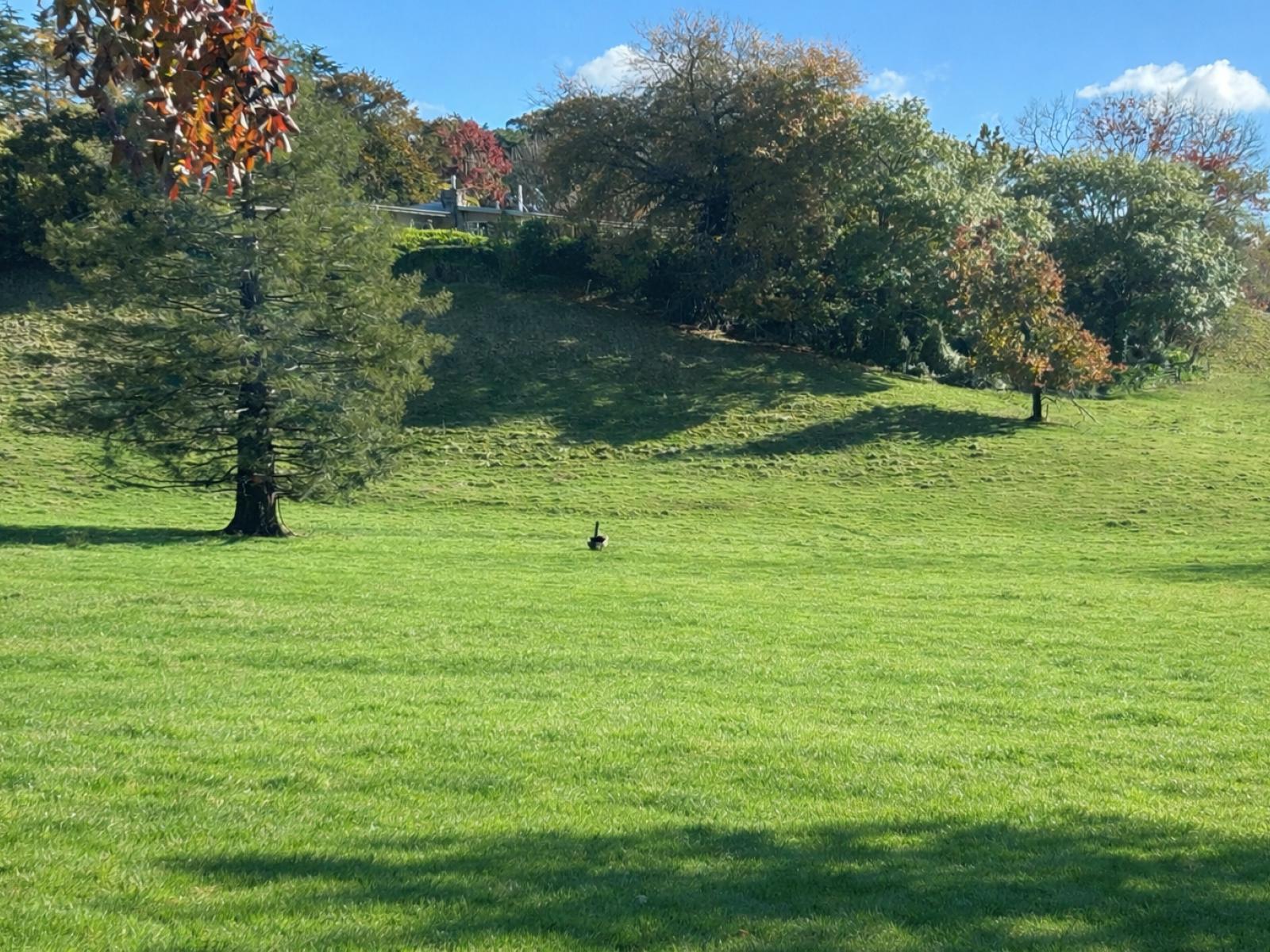 207 Rotowai Road, Omakere