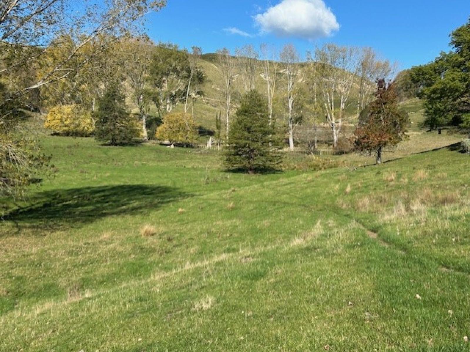 207 Rotowai Road, Omakere