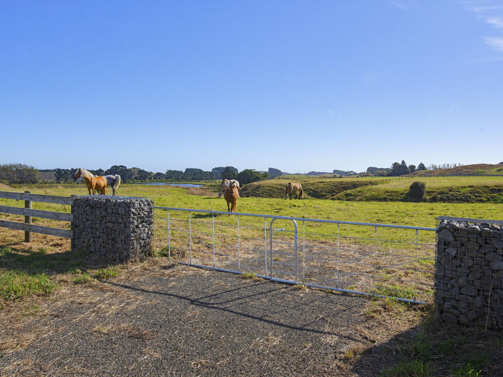 Lot 5 Whio Grove, Hokio Beach