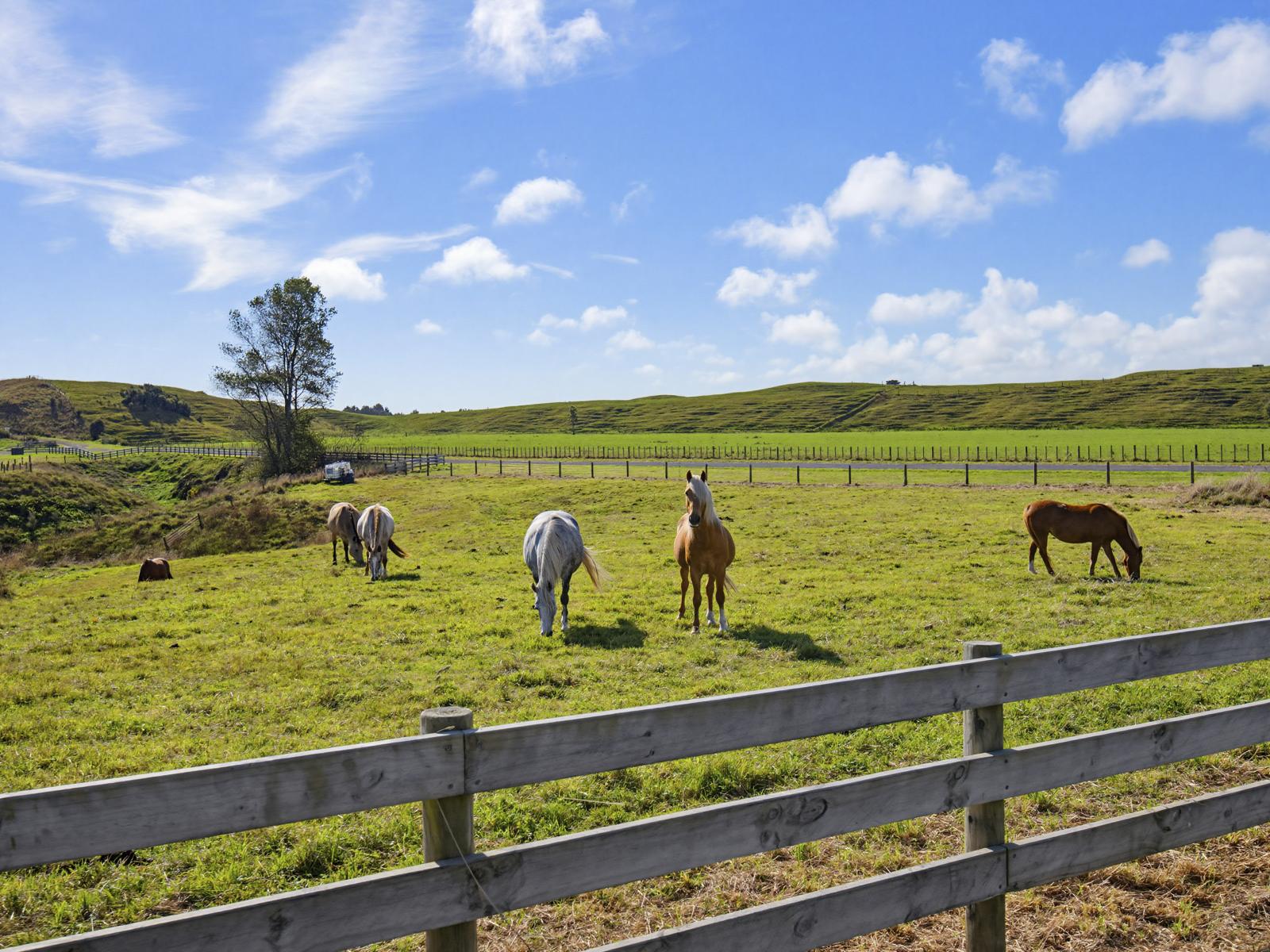 Lot 5 Whio Grove, Hokio Beach