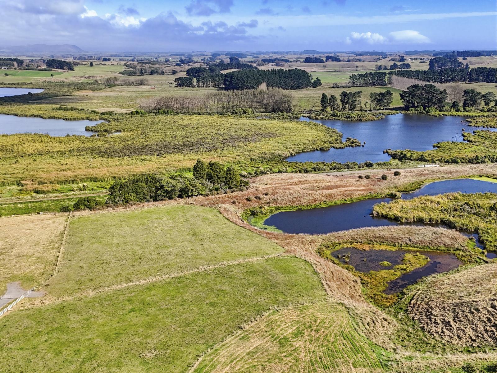 Lot 8 Whio Grove, Hokio Beach
