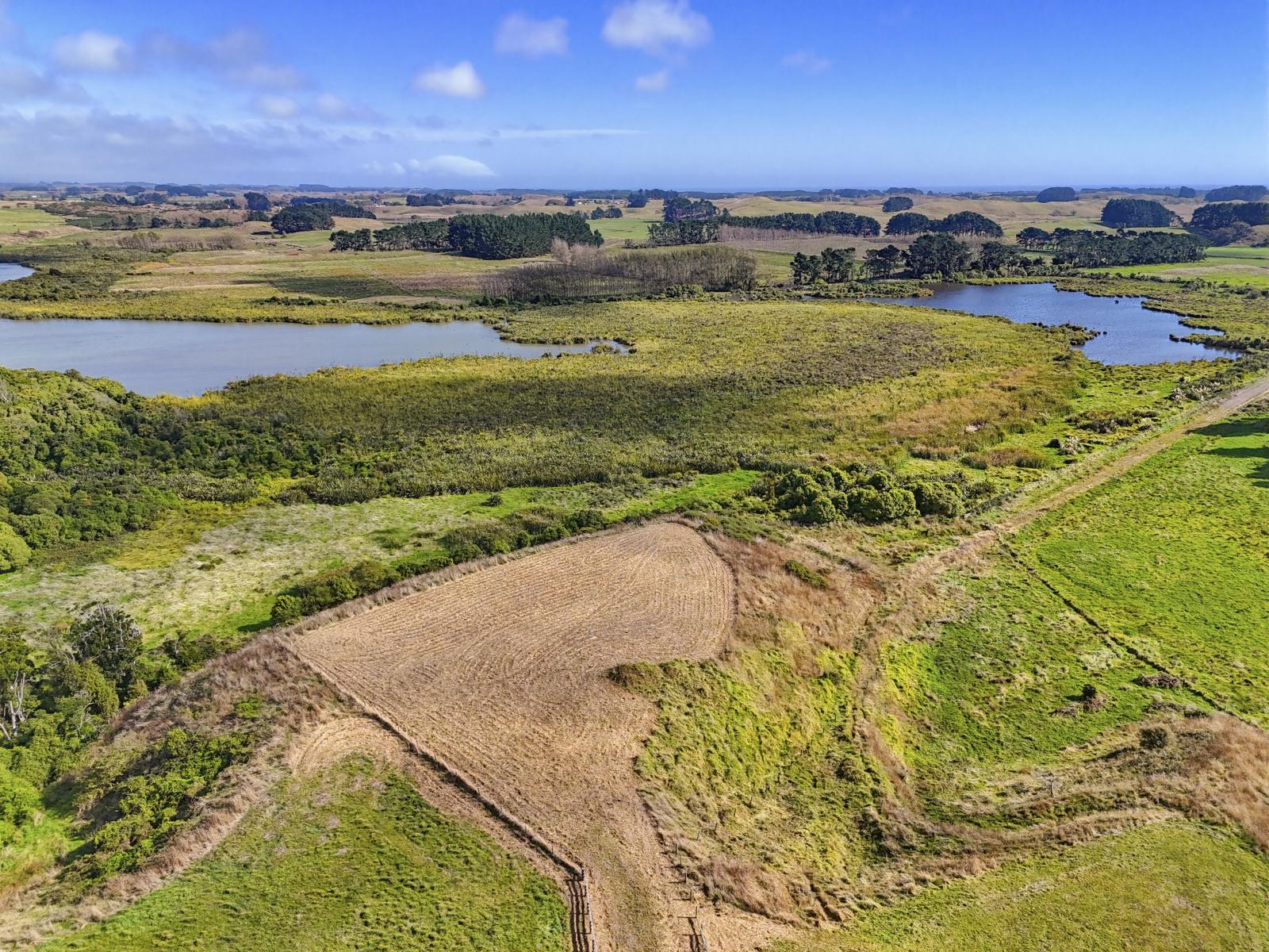 Lots 1-10 Whio Grove, Hokio Beach