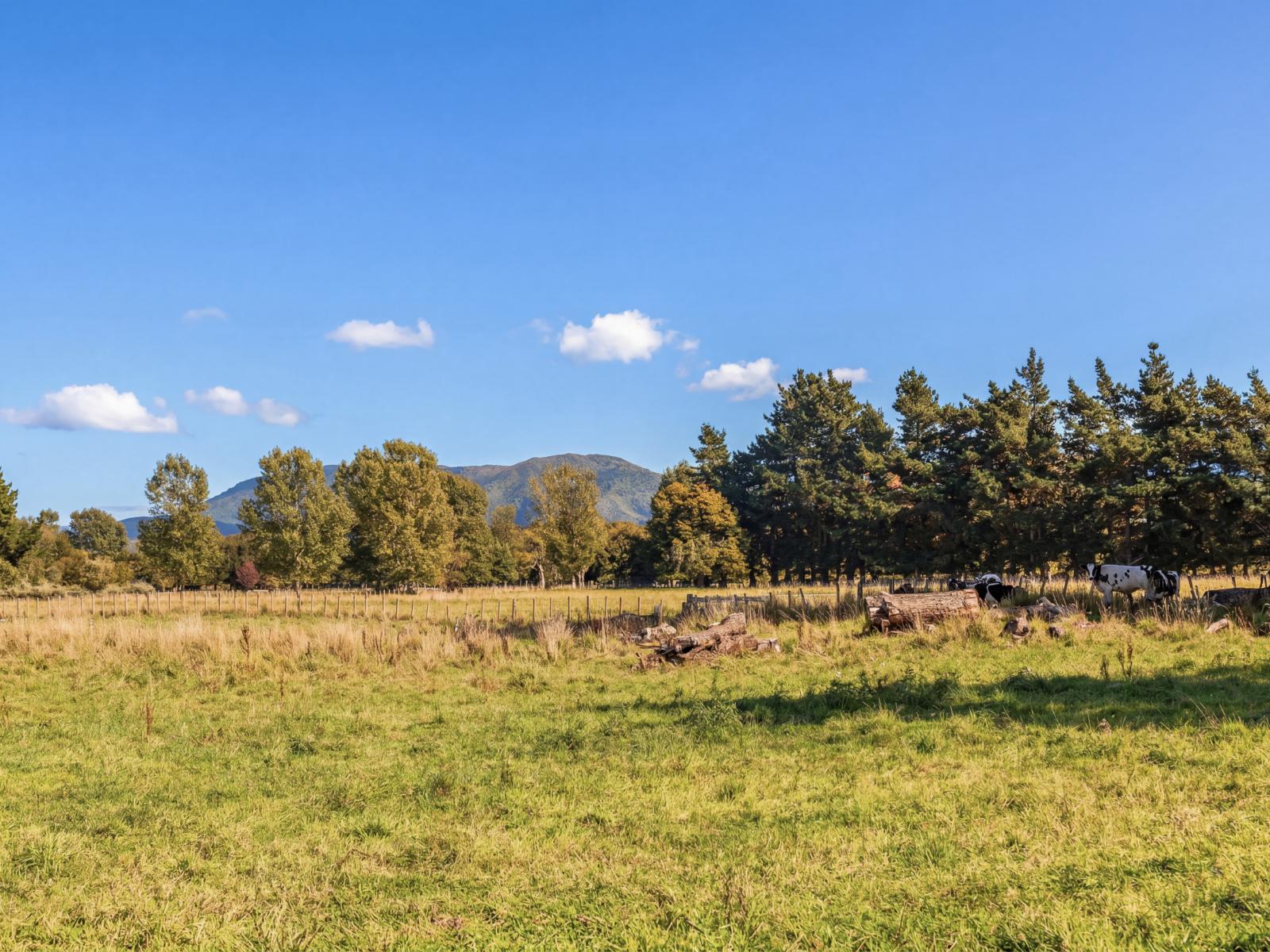 317 Wood Street, Greytown