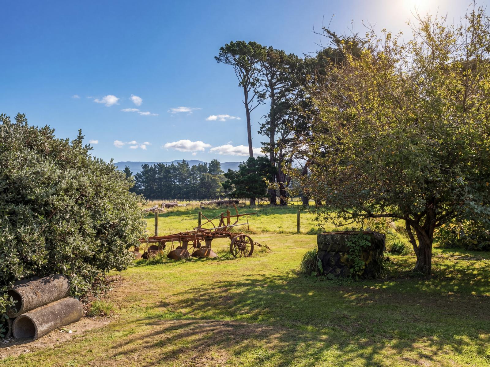 317 Wood Street, Greytown