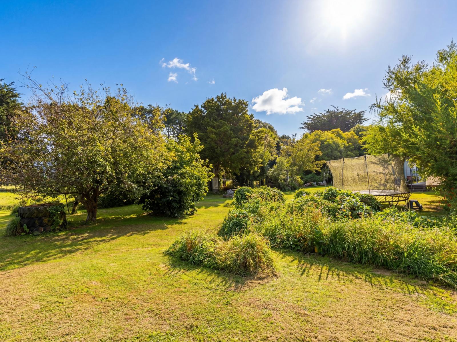 317 Wood Street, Greytown