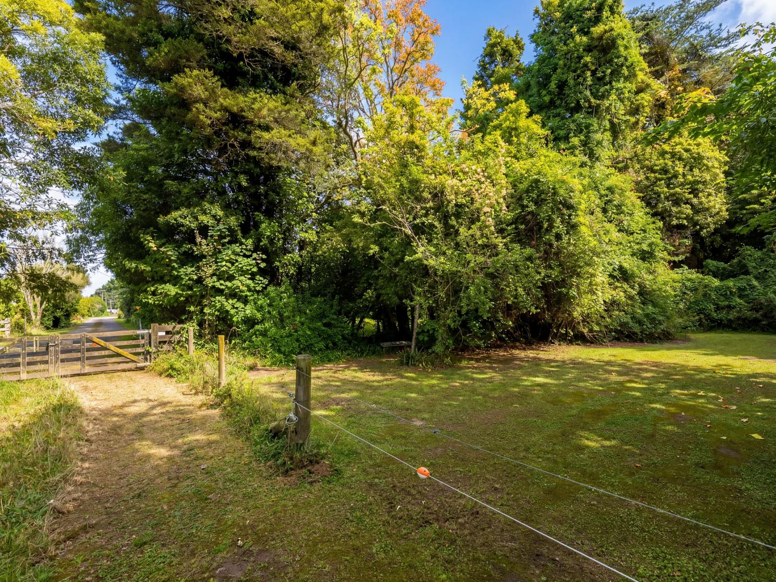 317 Wood Street, Greytown