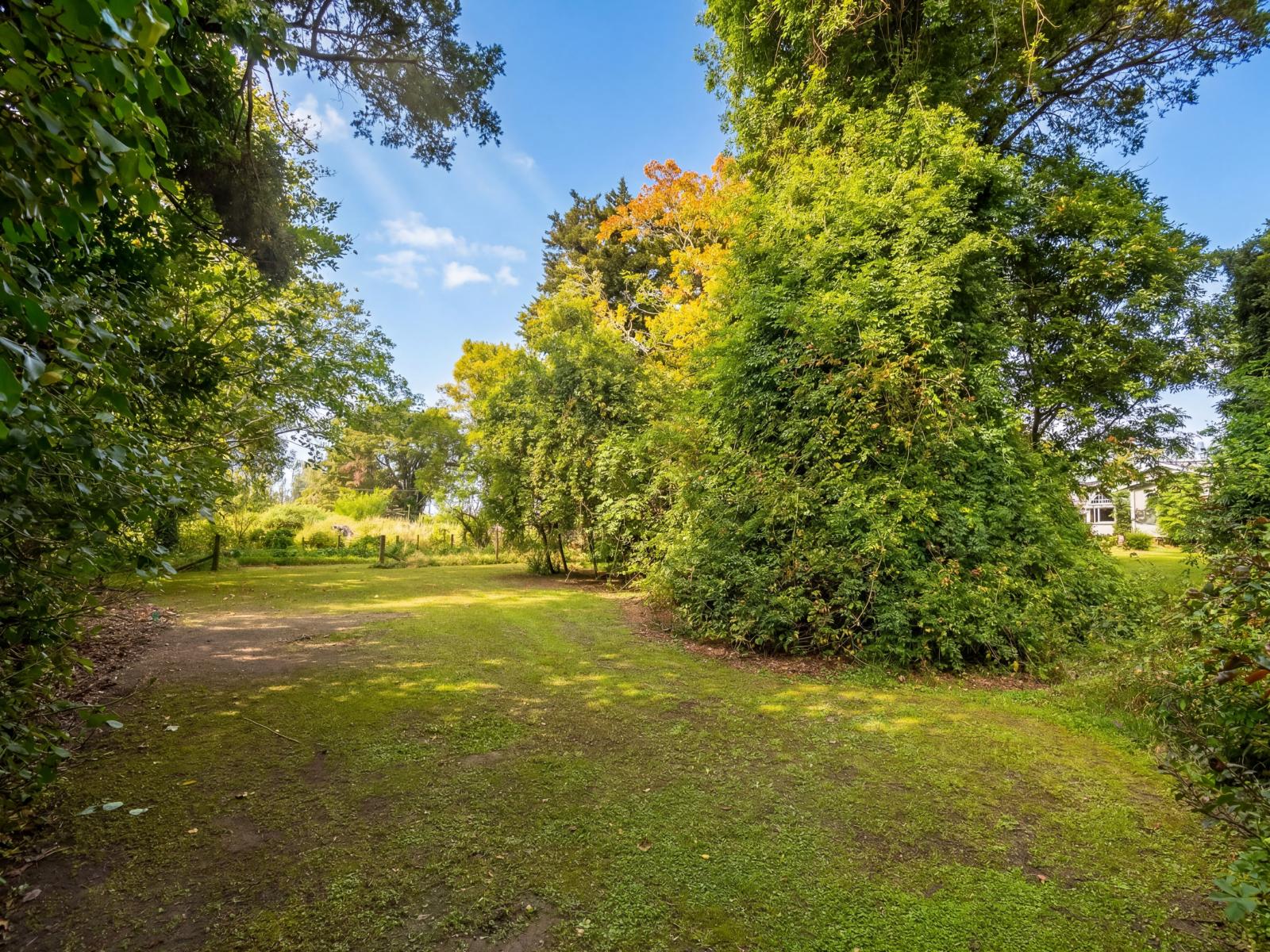 317 Wood Street, Greytown