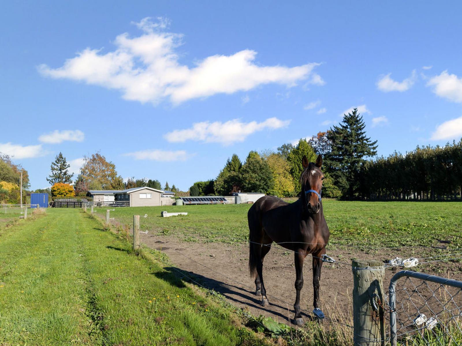 400 Racecourse Road, Allenton