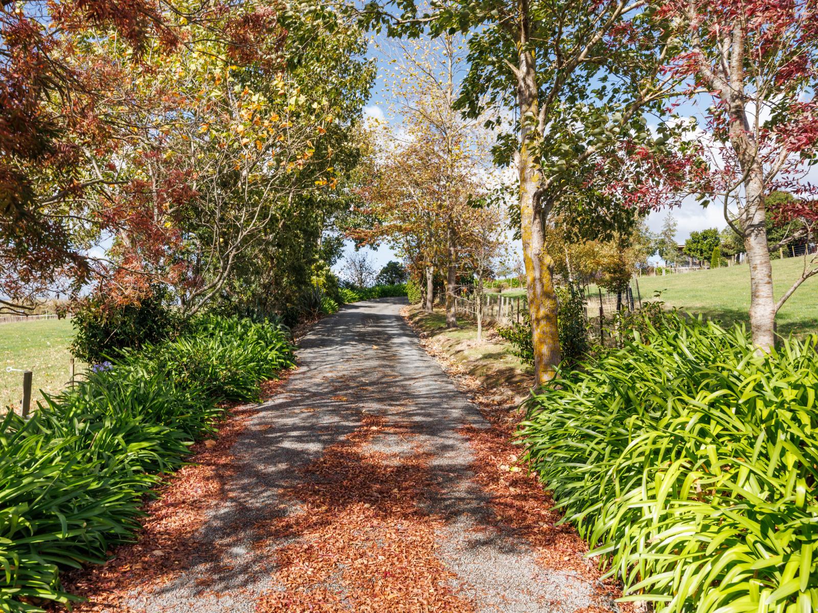 1233 Makino Road, Halcombe