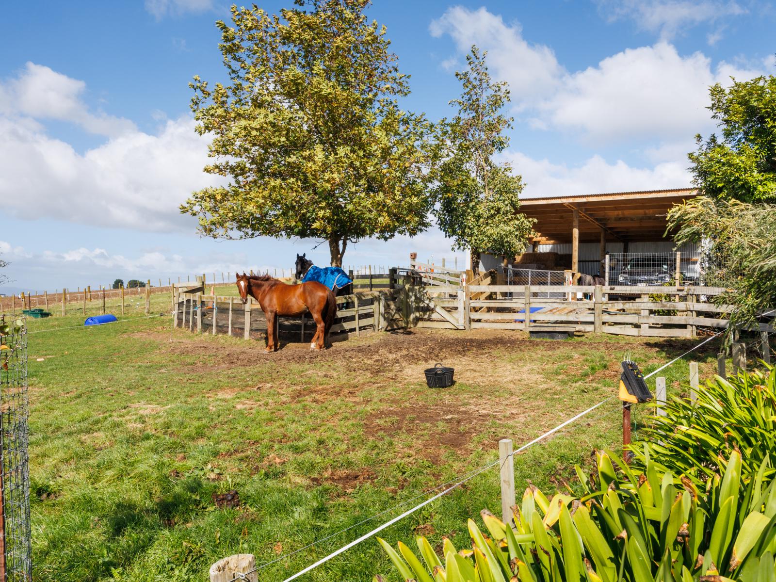 1233 Makino Road, Halcombe