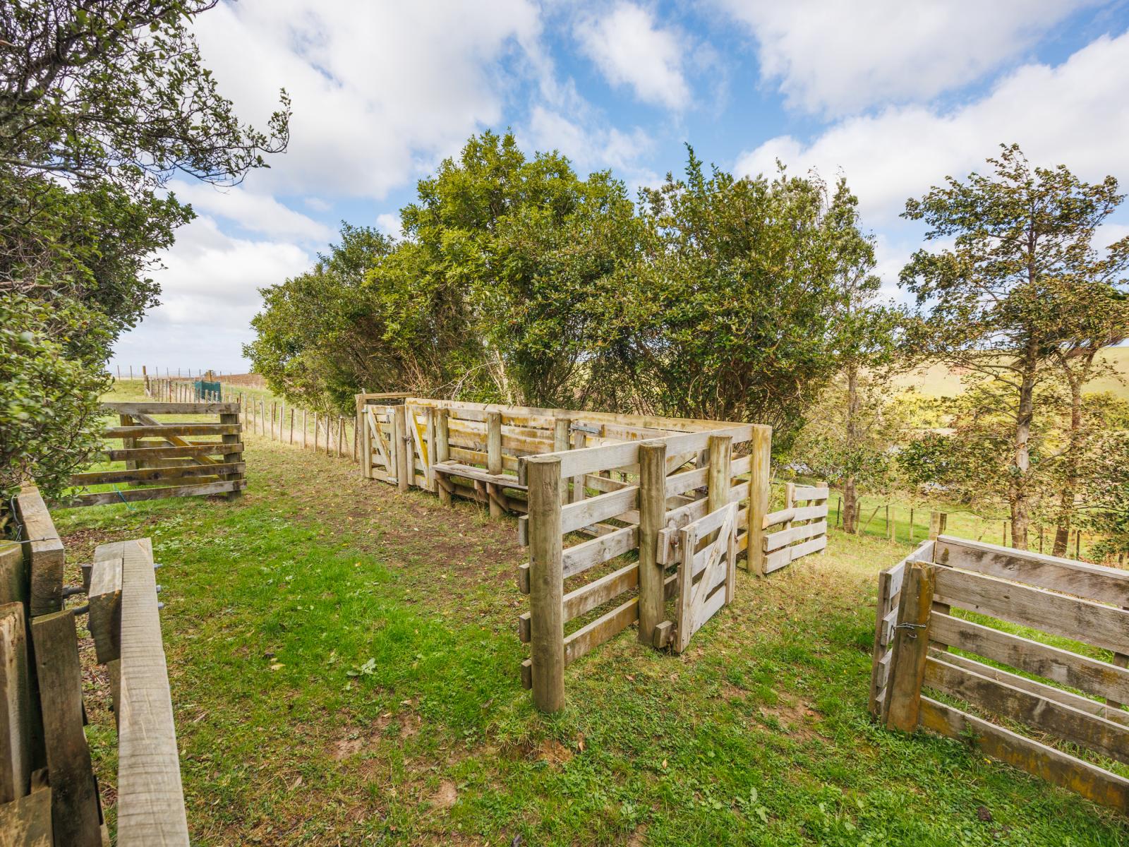 1233 Makino Road, Halcombe