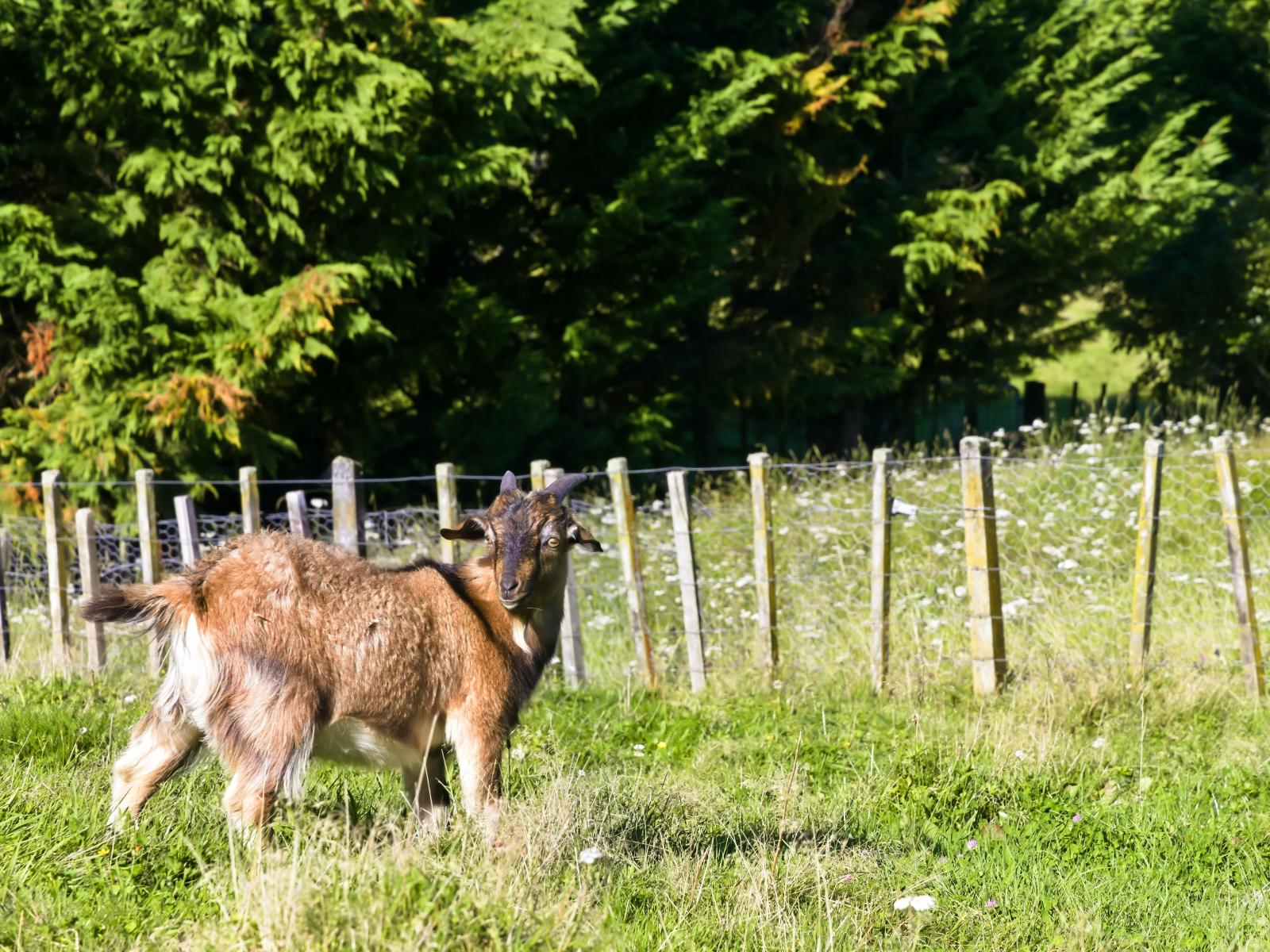 36B Totaranui Drive, Taumarunui