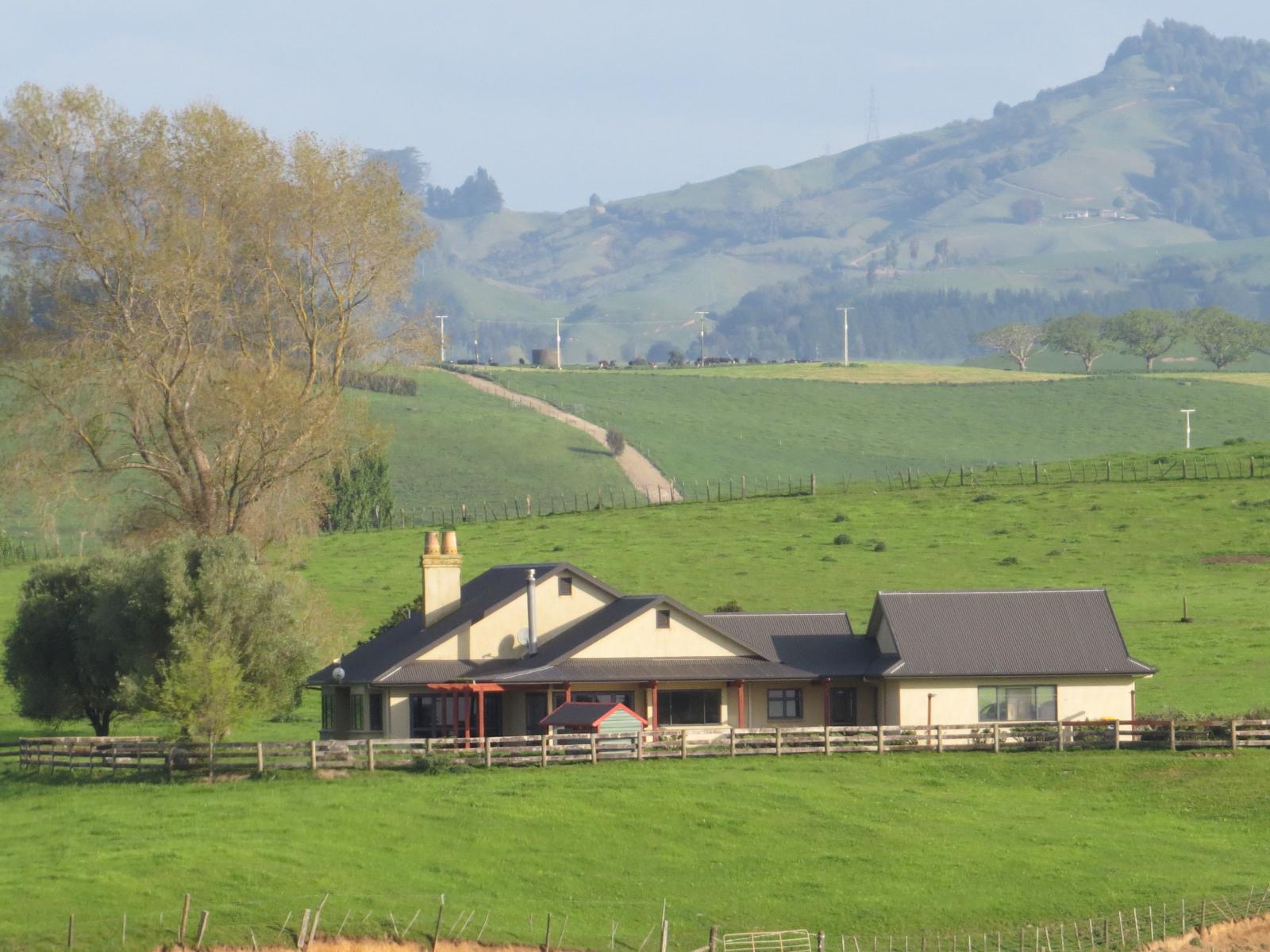 356 Whatauri Road, Wharepapa South