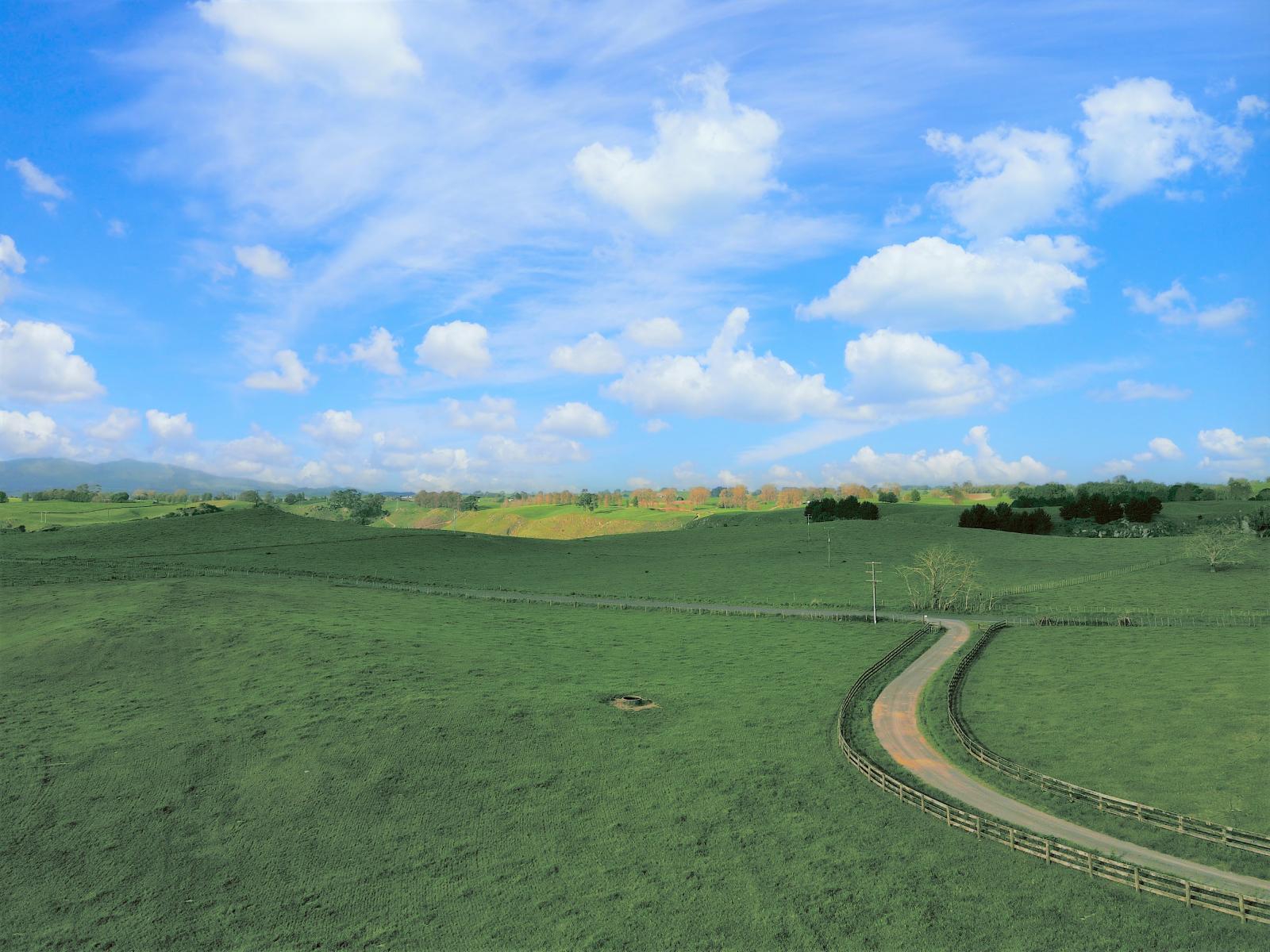 356 Whatauri Road, Wharepapa South