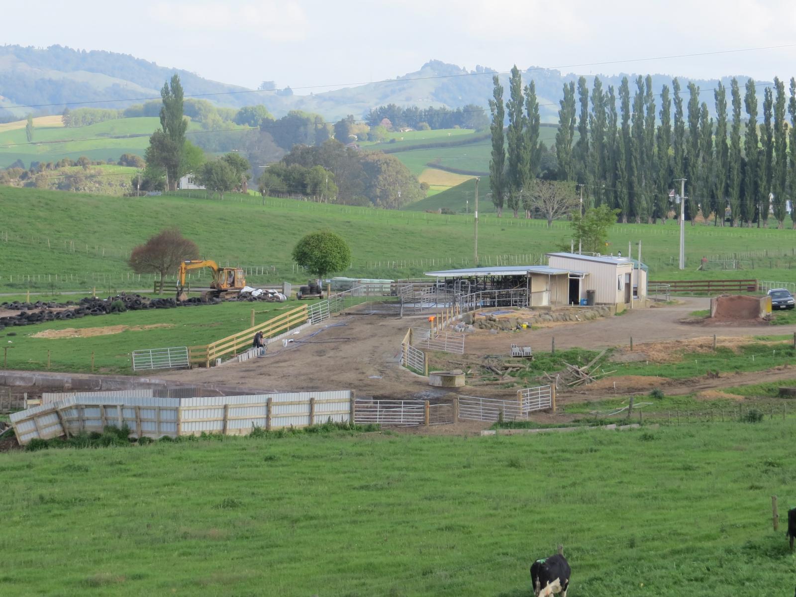 356 Whatauri Road, Wharepapa South