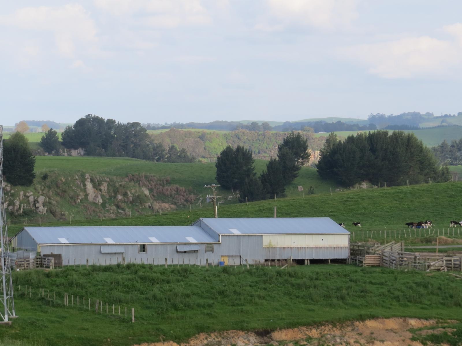 356 Whatauri Road, Wharepapa South