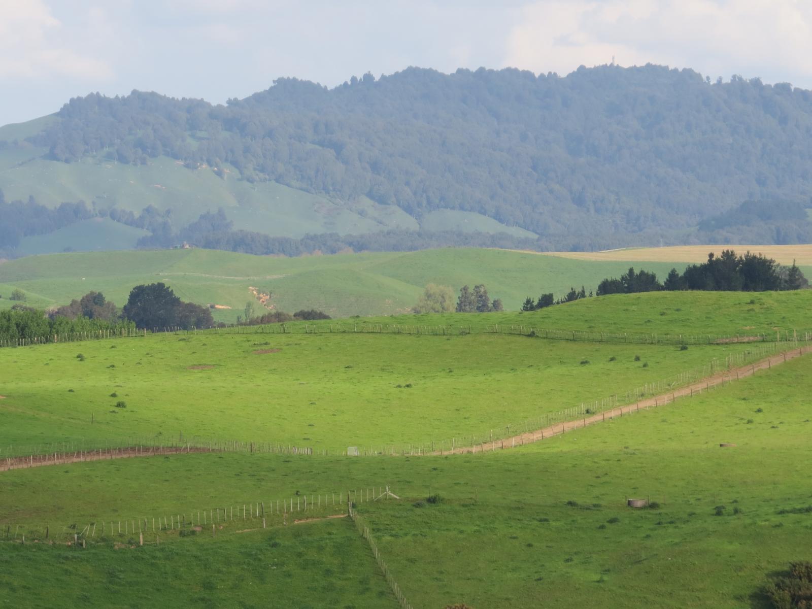 356 Whatauri Road, Wharepapa South