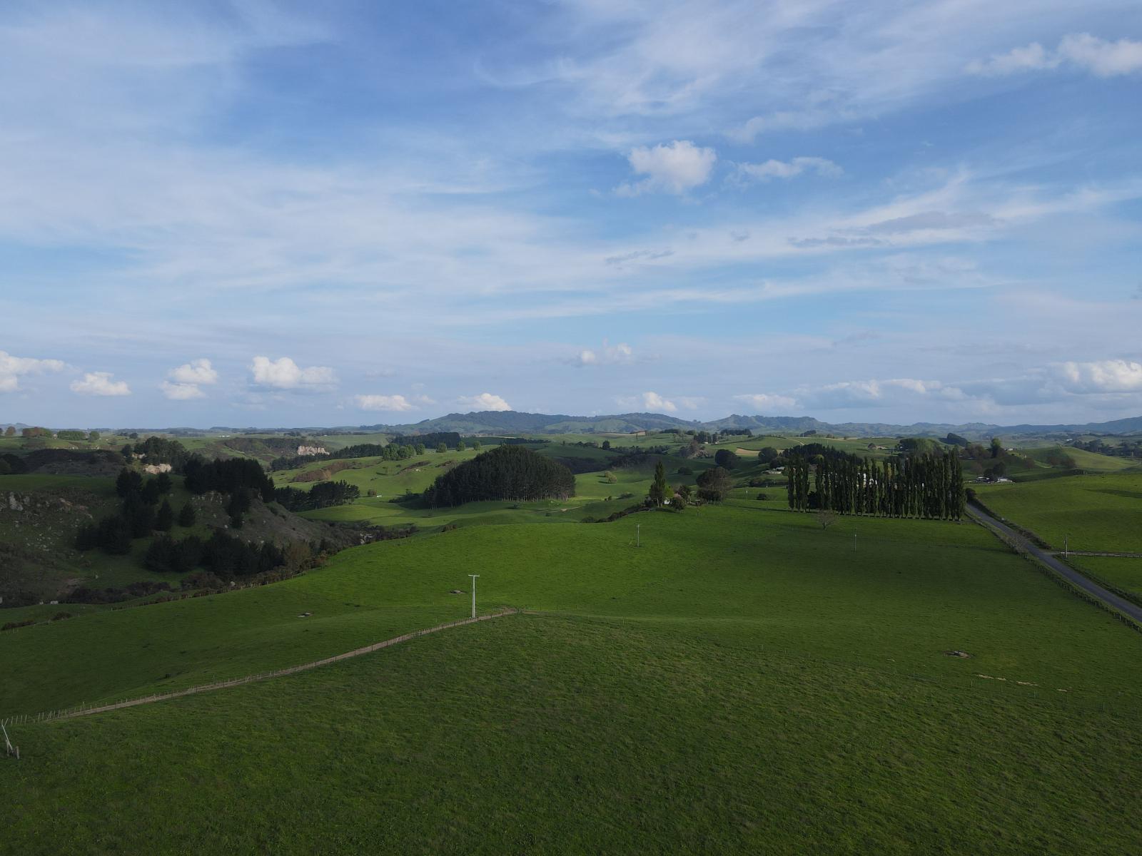 356 Whatauri Road, Wharepapa South