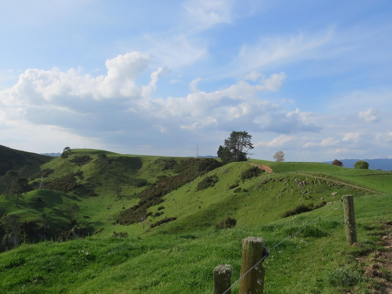 356 Whatauri Road, Wharepapa South