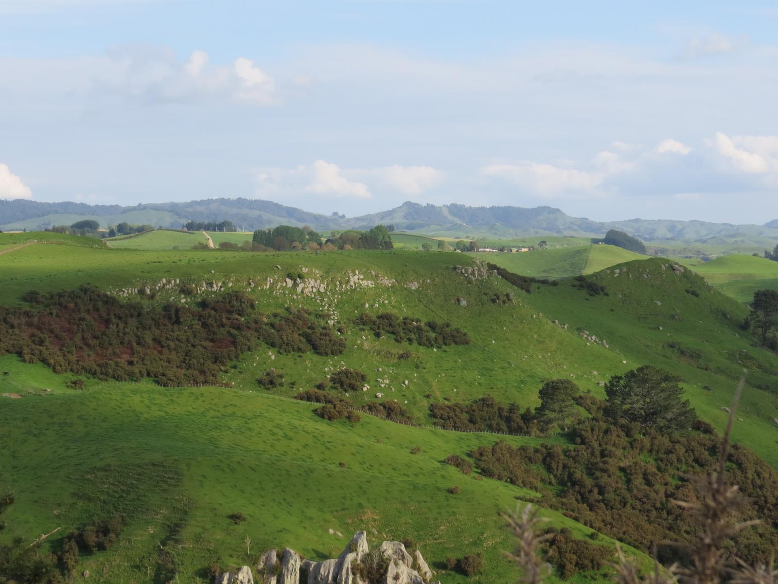 356 Whatauri Road, Wharepapa South