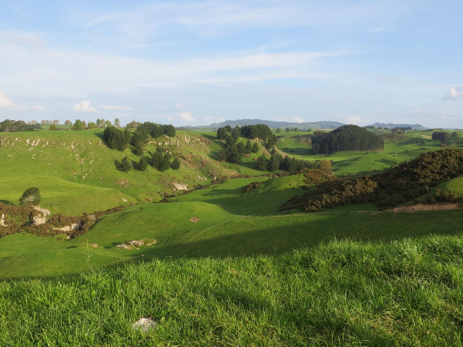 356 Whatauri Road, Wharepapa South