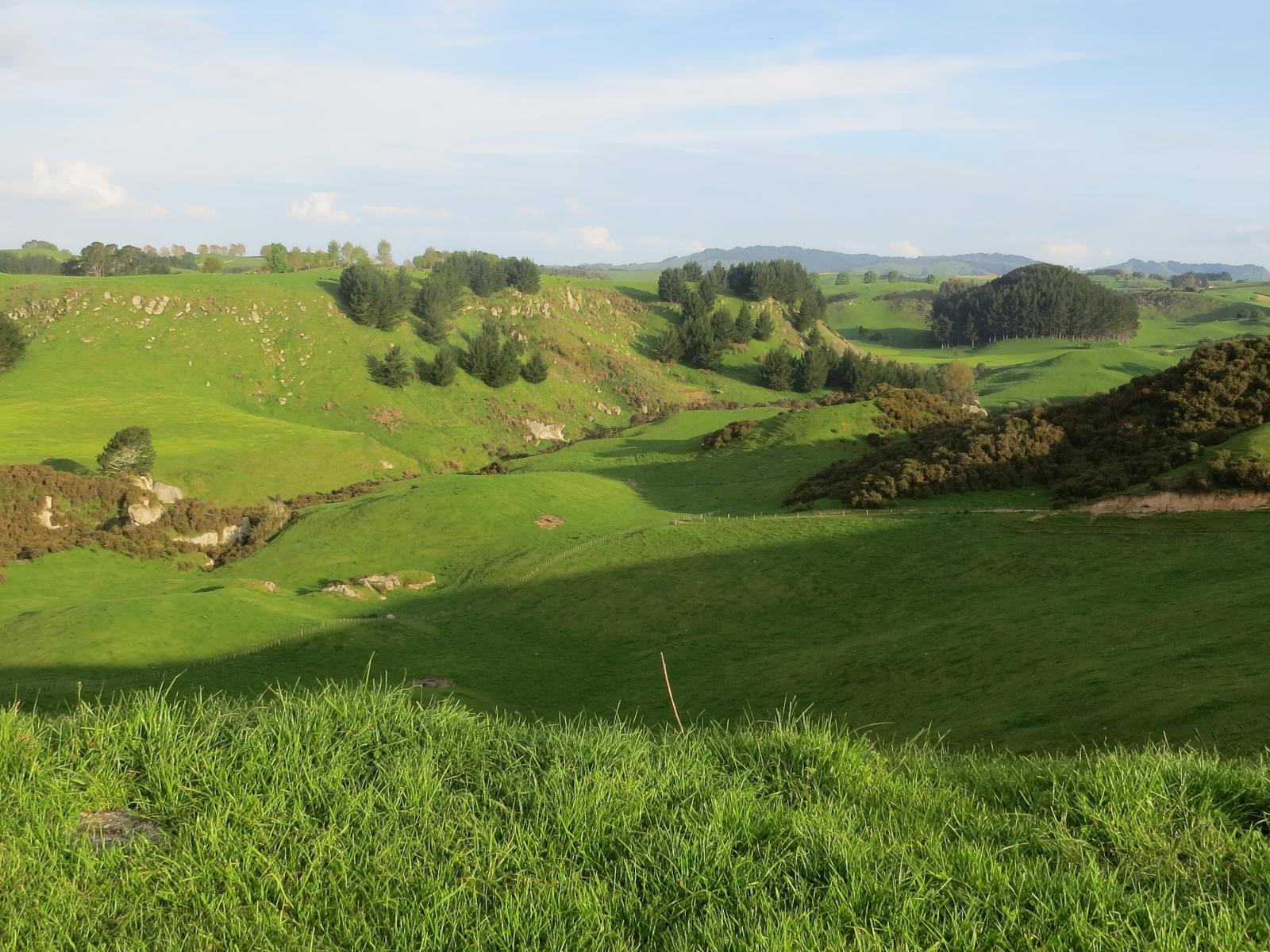 356 Whatauri Road, Wharepapa South