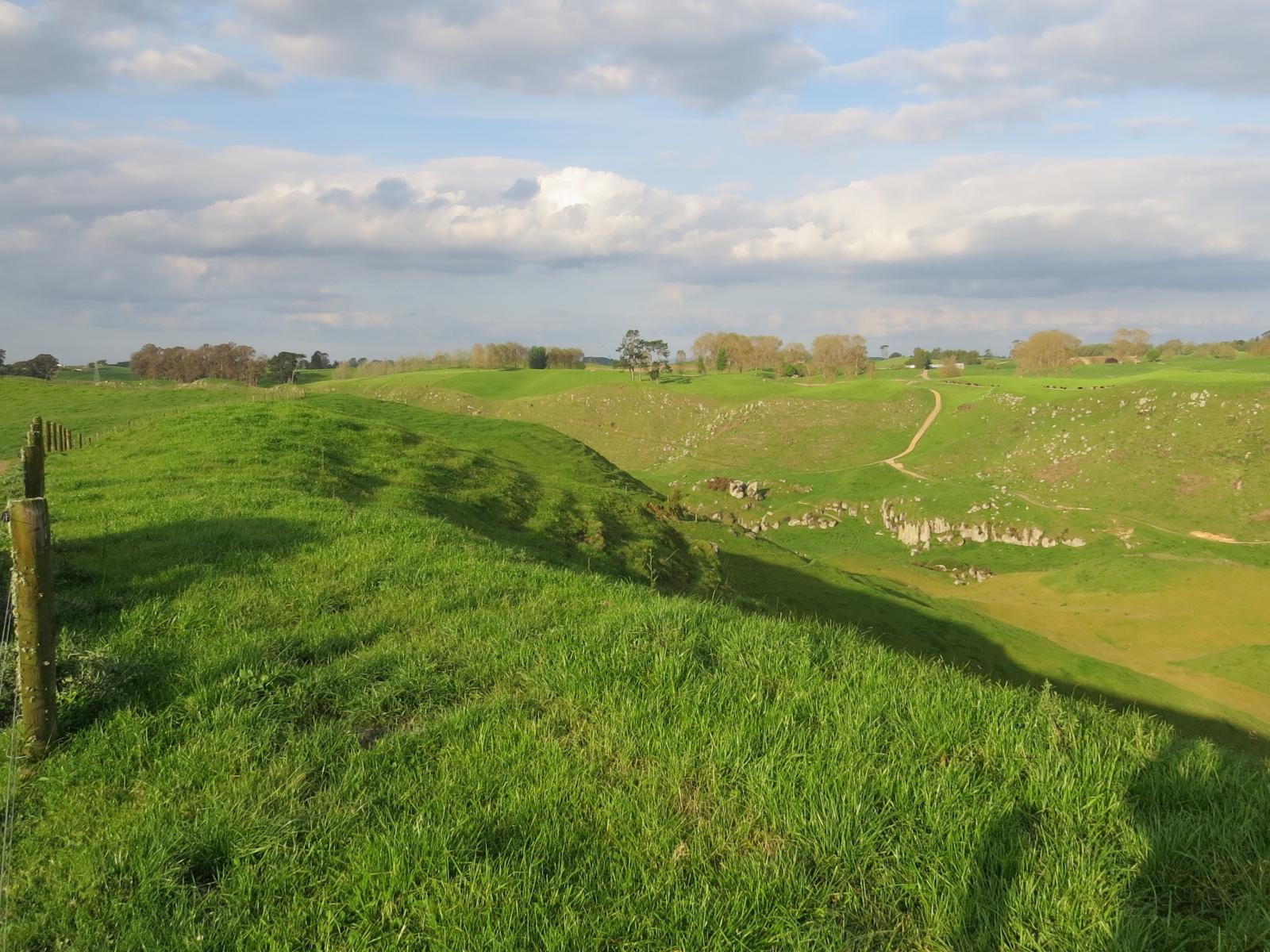 356 Whatauri Road, Wharepapa South