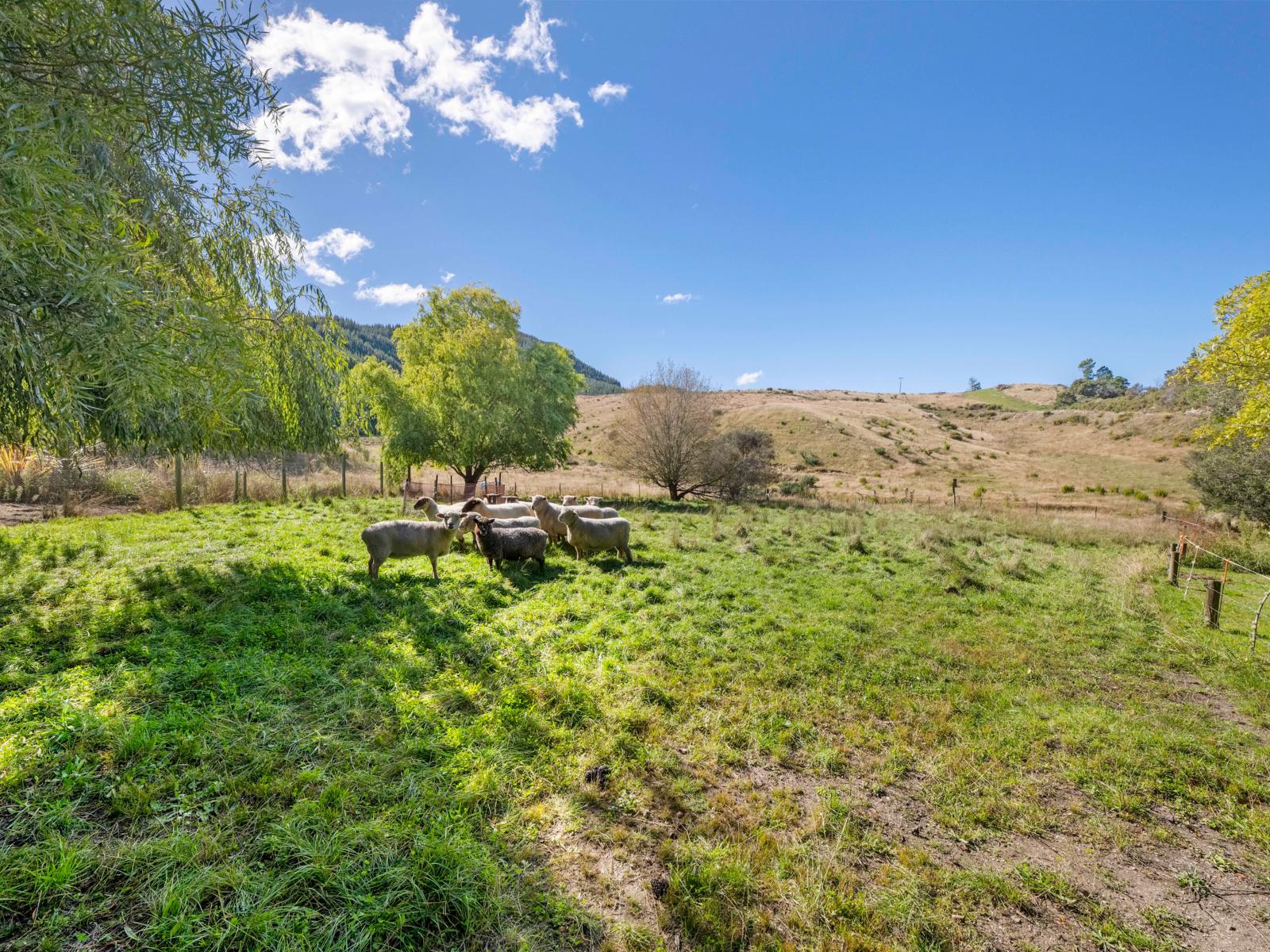 274 Northbank Road, Kaituna, Blenheim