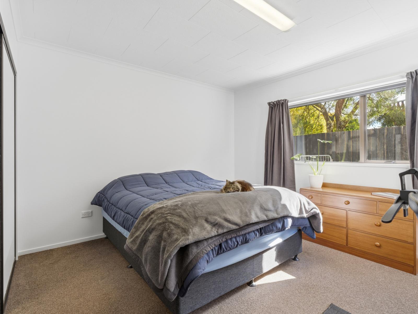 7 Windsor Place, Mosgiel