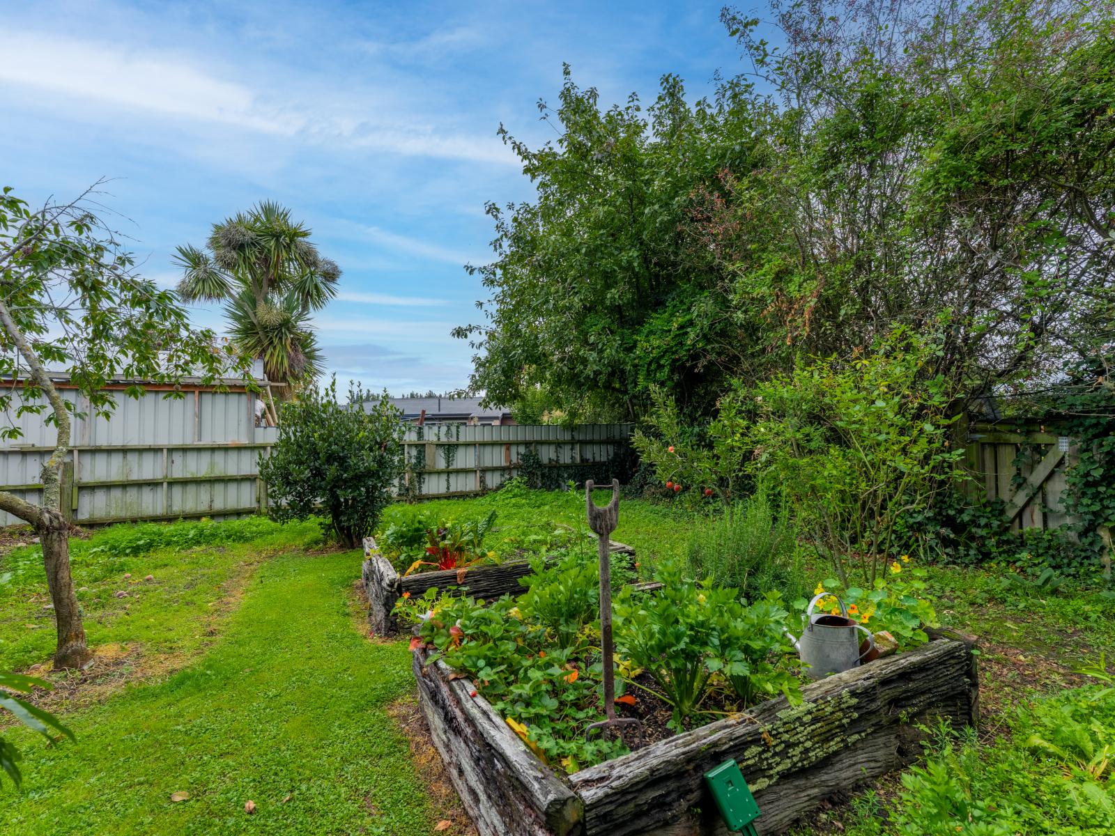 15 Halstead Road, Pleasant Point