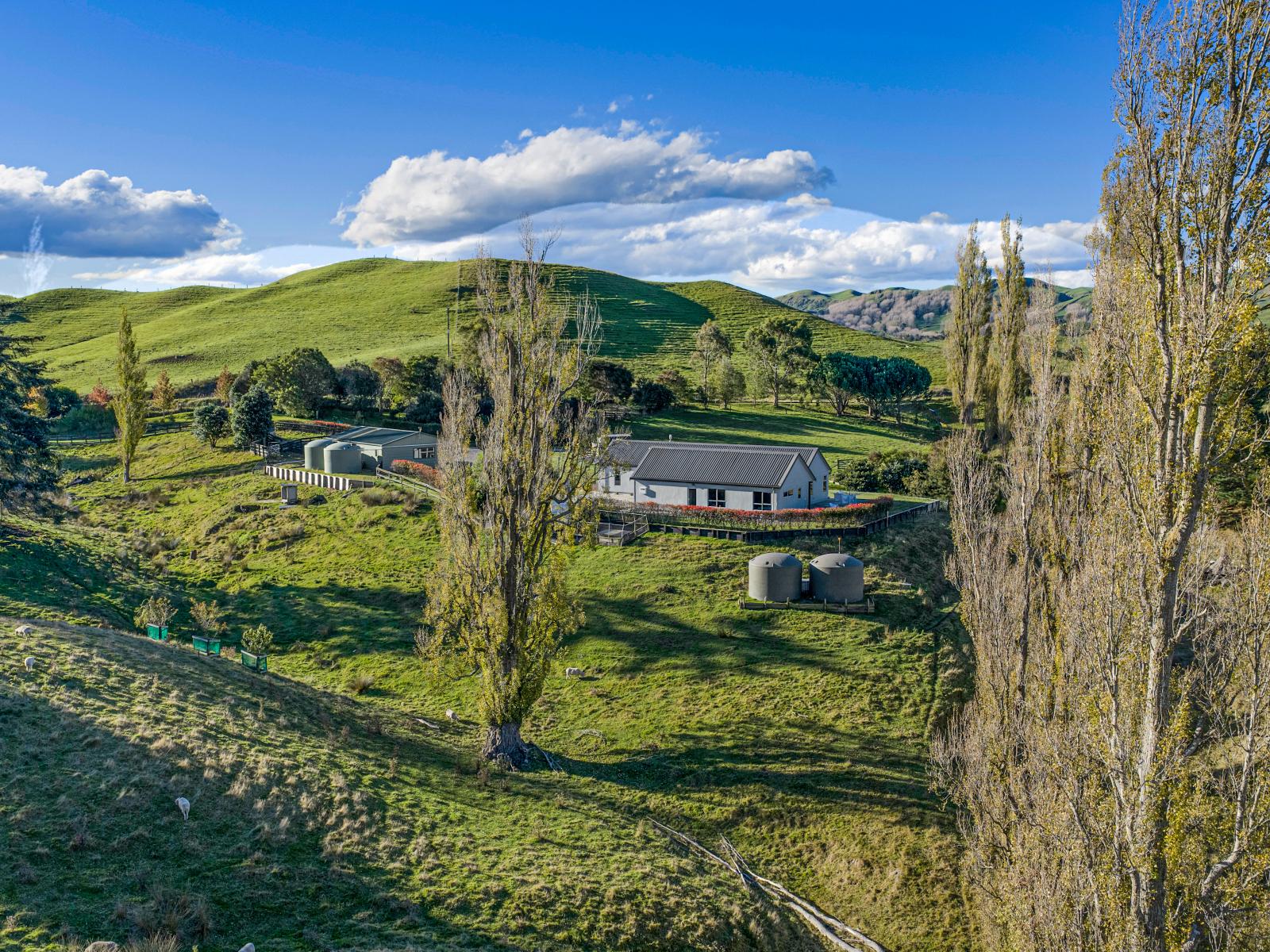 1567 Puketitiri Road, Puketapu